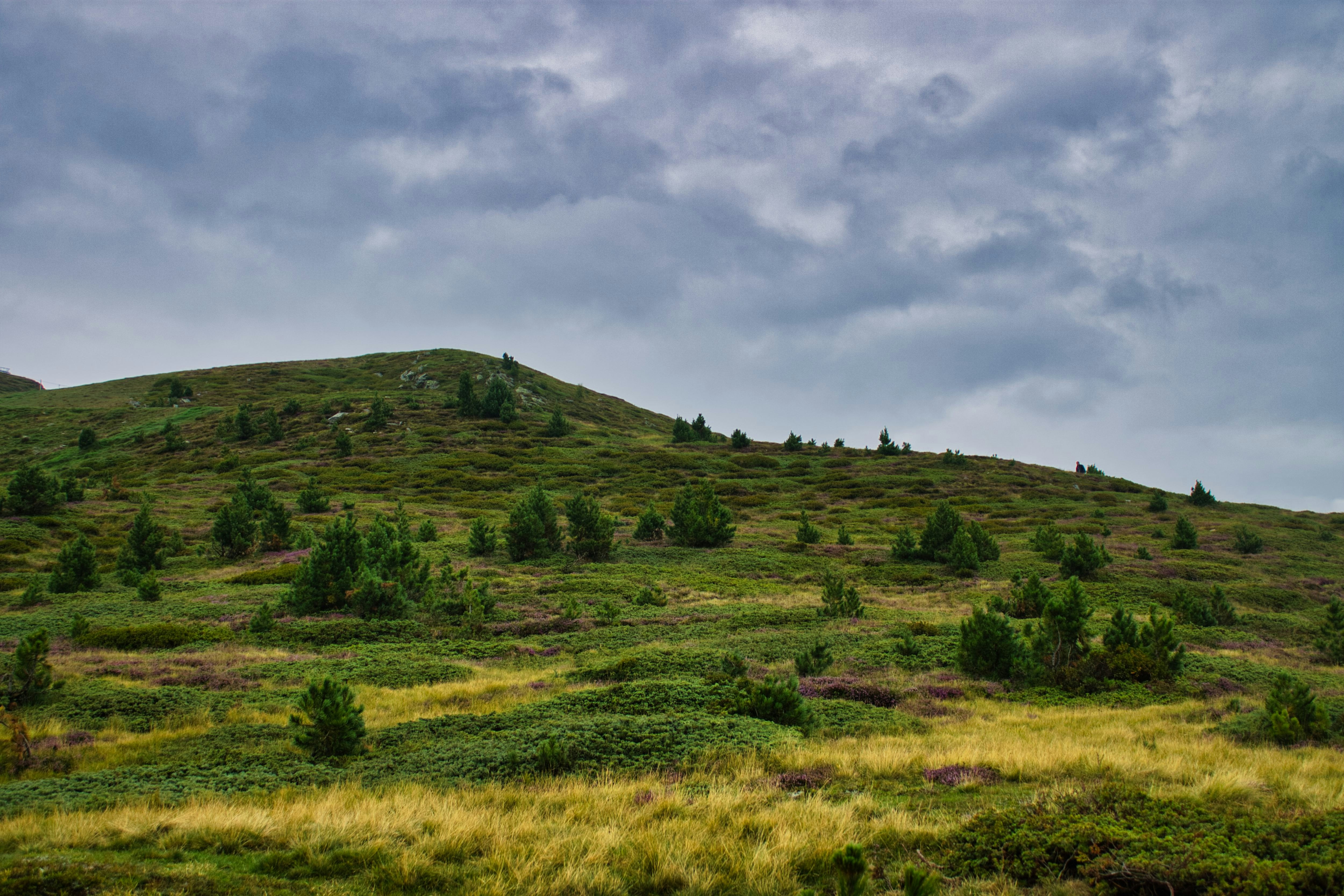 Photo by fanjatastisch