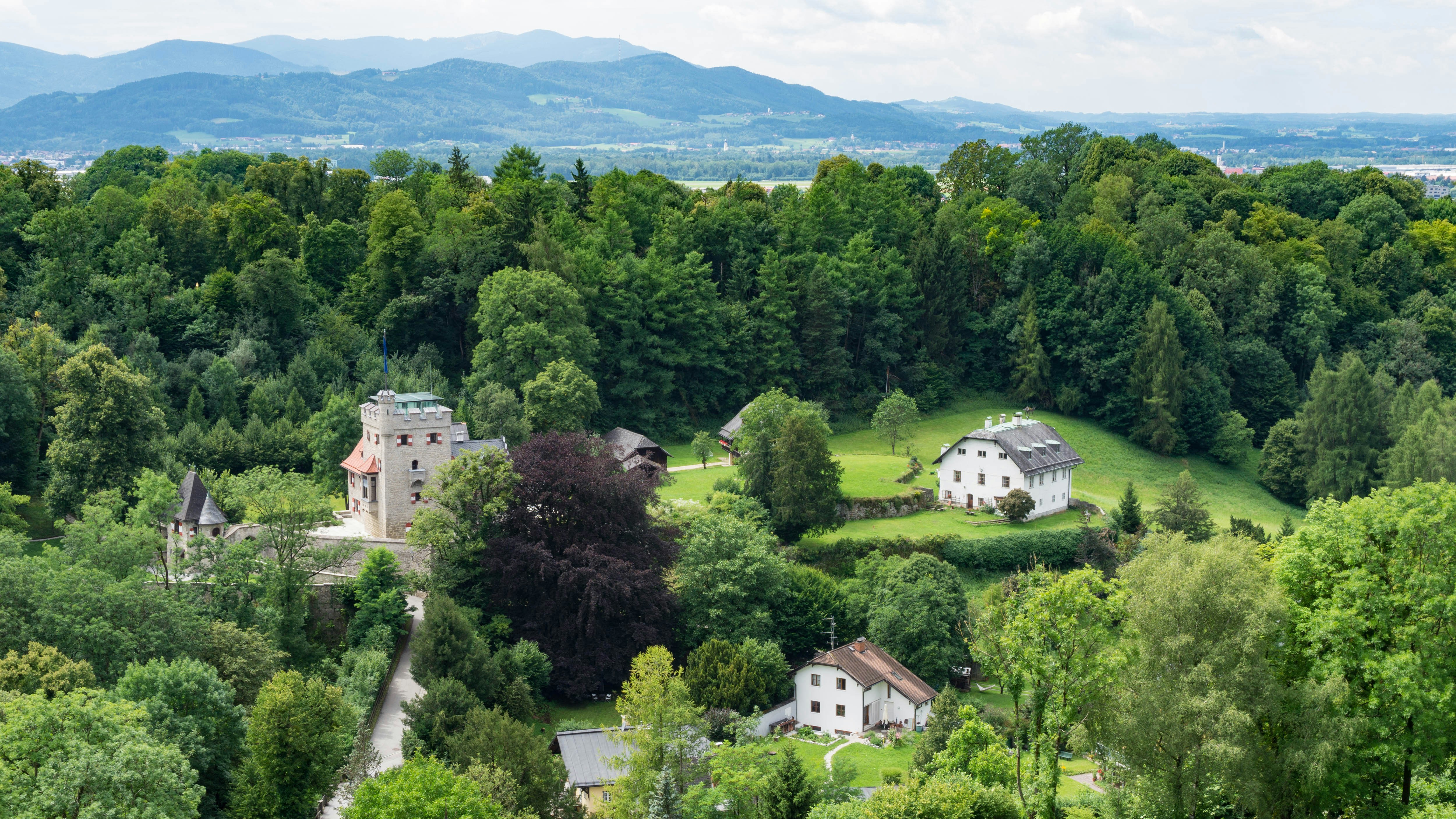 high-angle photo of buildings surrounded by green-leafed trees