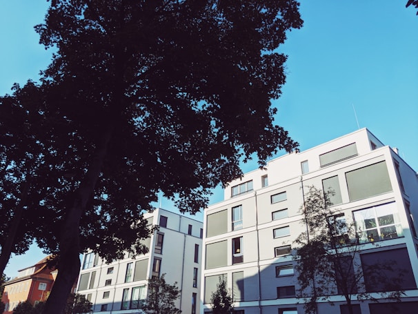 Modern apartment buildings are surrounded by large trees, contrasting with a clear blue sky. The architecture is sleek and contemporary, with multiple windows visible on the facade.