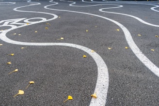 Curved white lines are painted on an asphalt surface, forming an intricate, wavy pattern. Yellow fallen leaves are scattered across the dark gray ground, adding a touch of color to the scene.