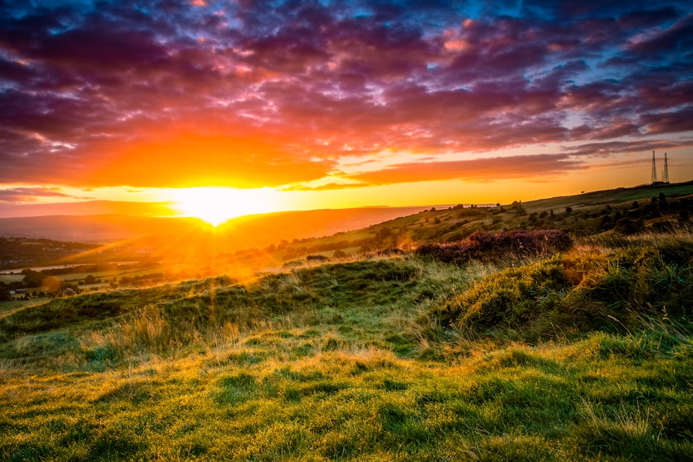 landscape photo of green grass fields