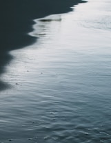 The image depicts a serene and calming beachfront with gentle waves softly lapping at the sand, casting a reflection on the wet surface. The lighting creates a peaceful ambiance.