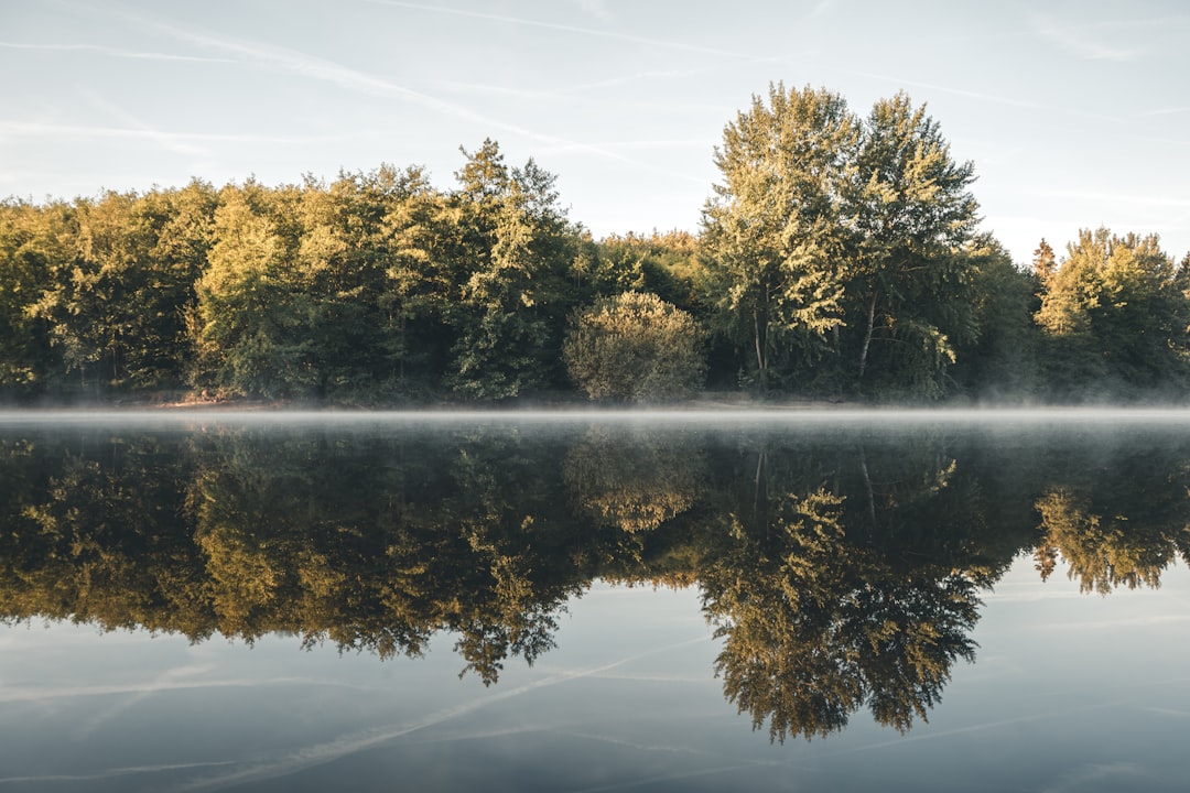 green trees mirror lake scenery