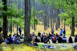 An outdoor gathering of club members seated in a circle under a large tree, sharing reflections.