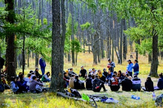 A group circle gathering in a forest setting.