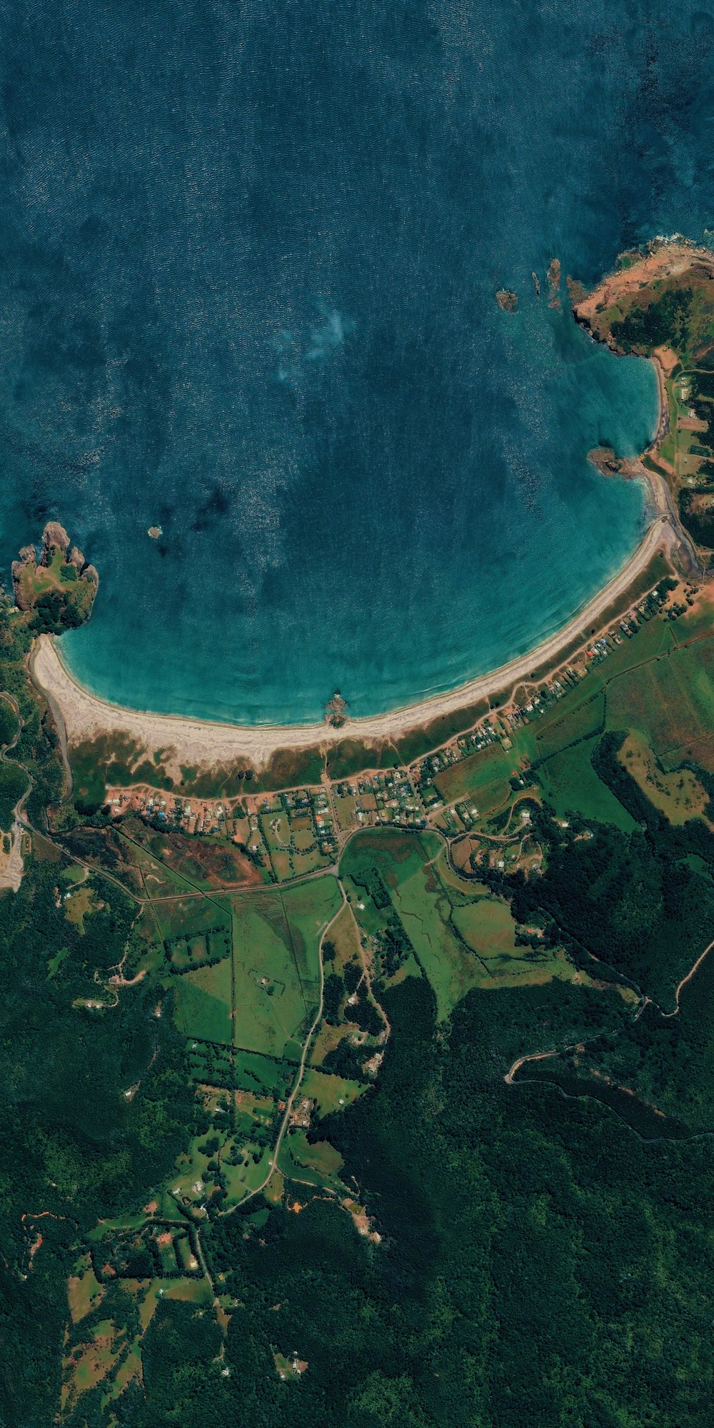 aerial seashore and grass field scenery