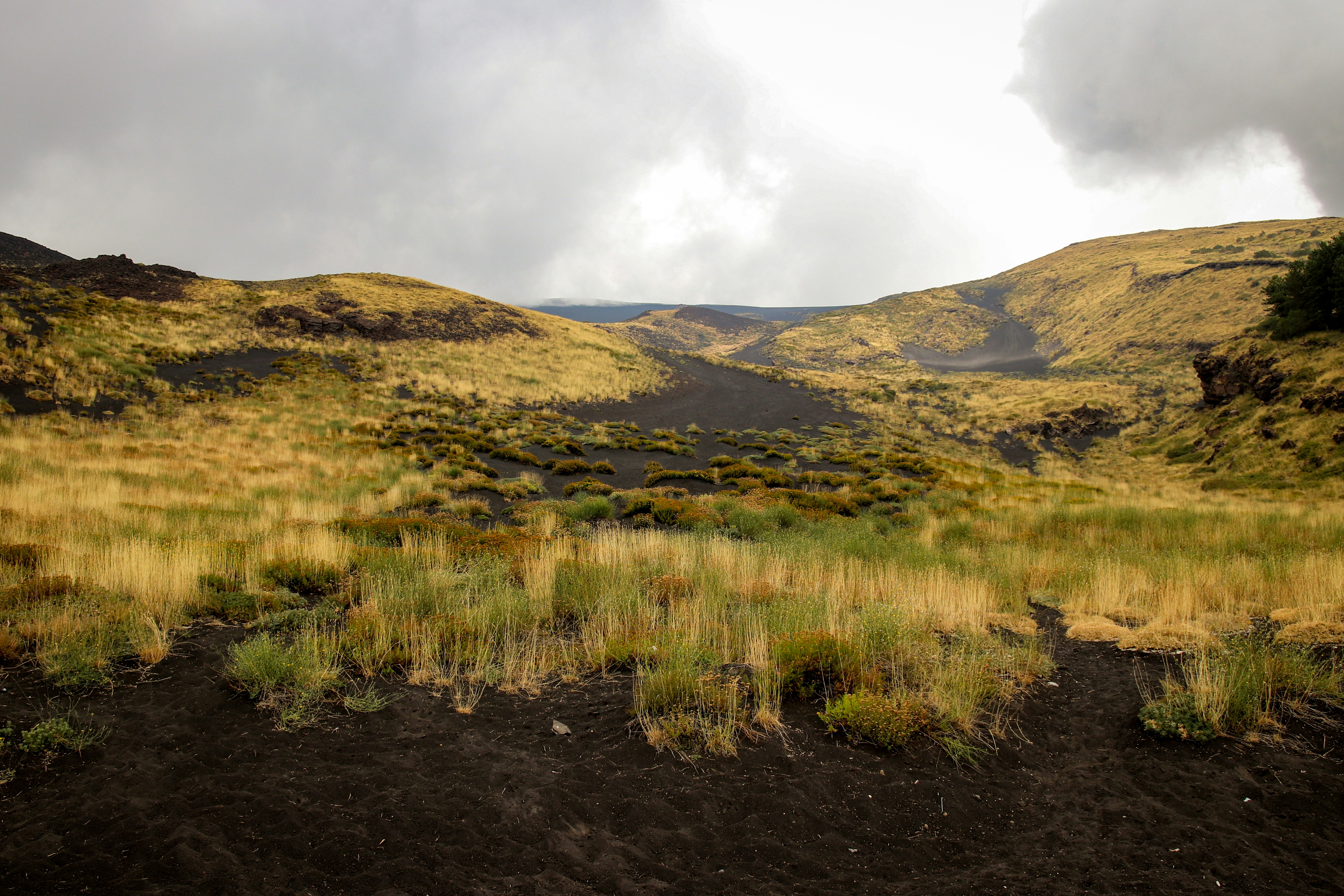 Photo by eduandebruijne