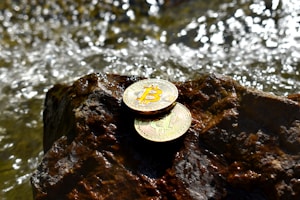 Two Bitcoin coins rest on a wet rock with a flowing stream in the background, casting reflections and highlighting the textured surface.