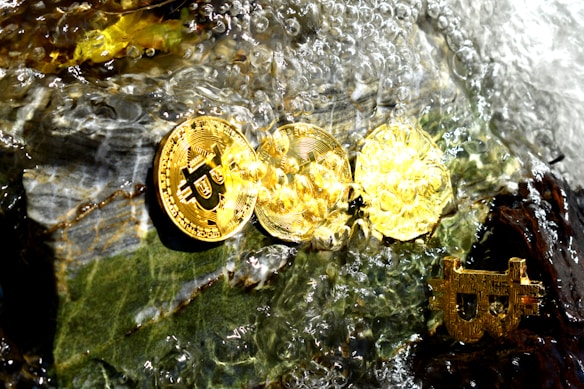 Gold-colored coins with Bitcoin symbols are submerged in water, surrounded by bubbles and placed on a textured rock surface.
