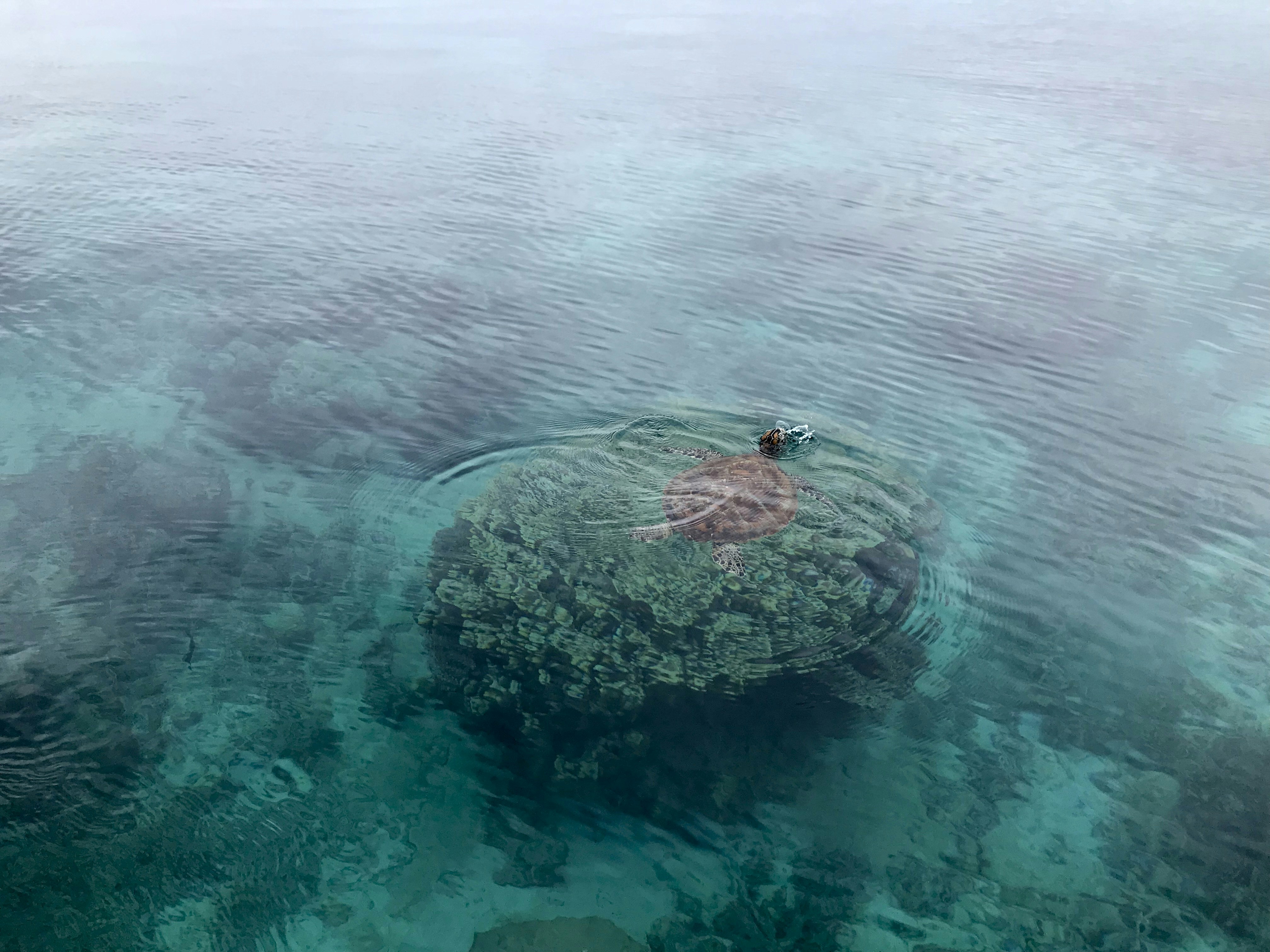 photo of New Caledonia