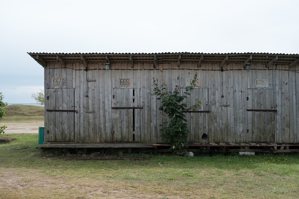 grey wooden house