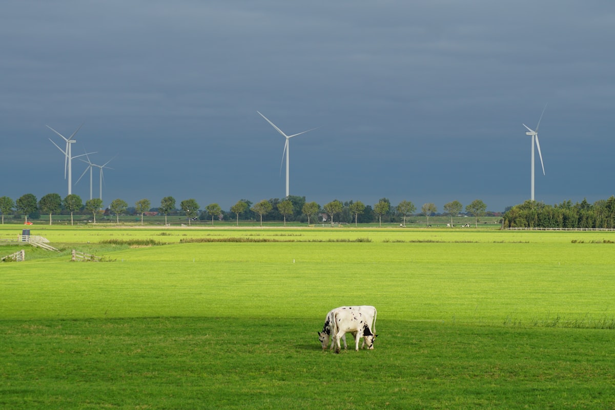 Cover image for Impact-Investing-Due-Diligence für eine Solarpark-Holding