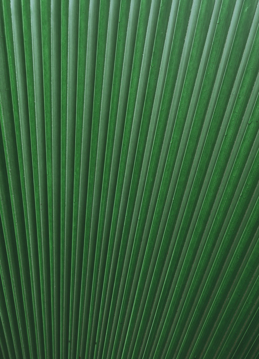 green wall