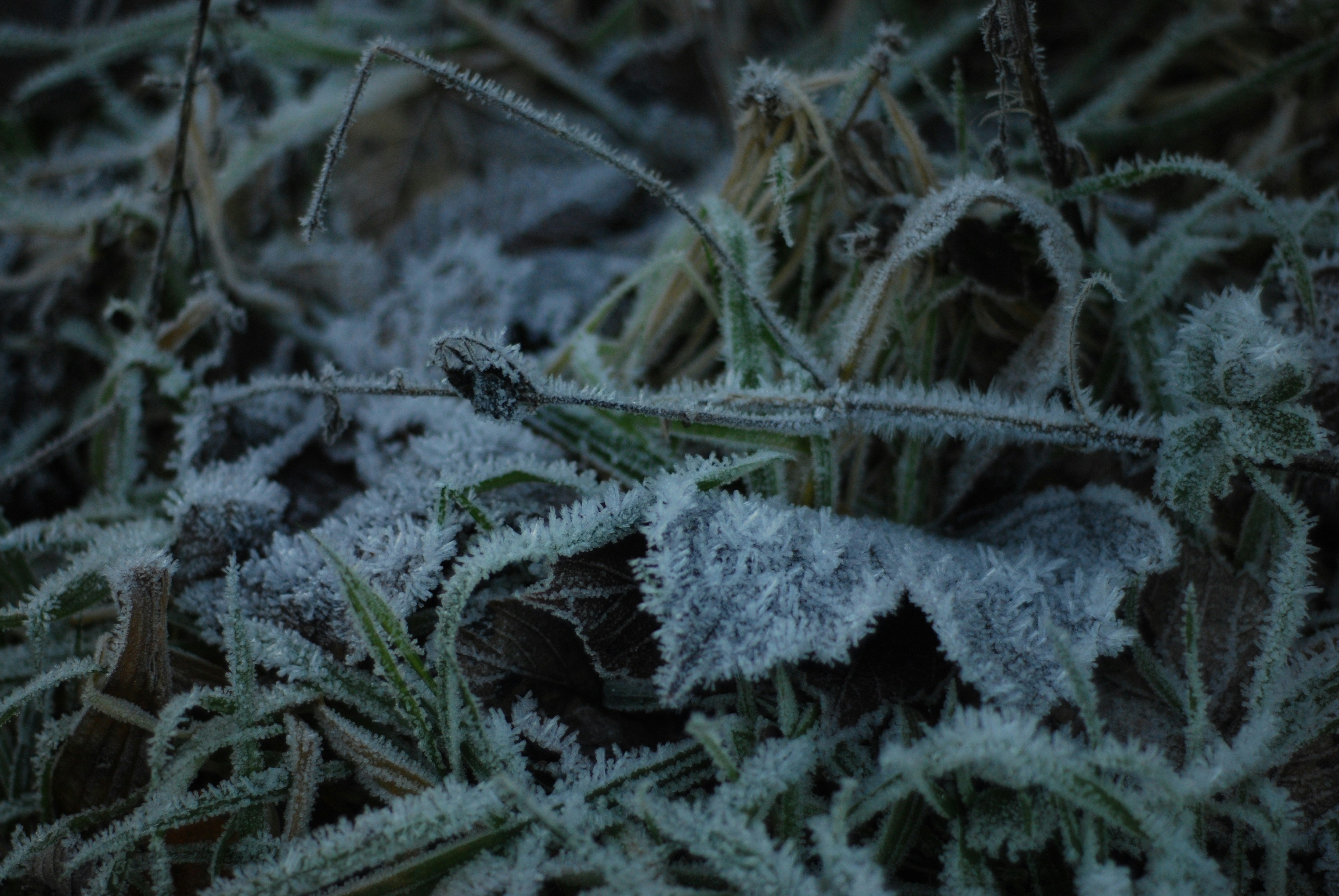 Photo by sarahcreates