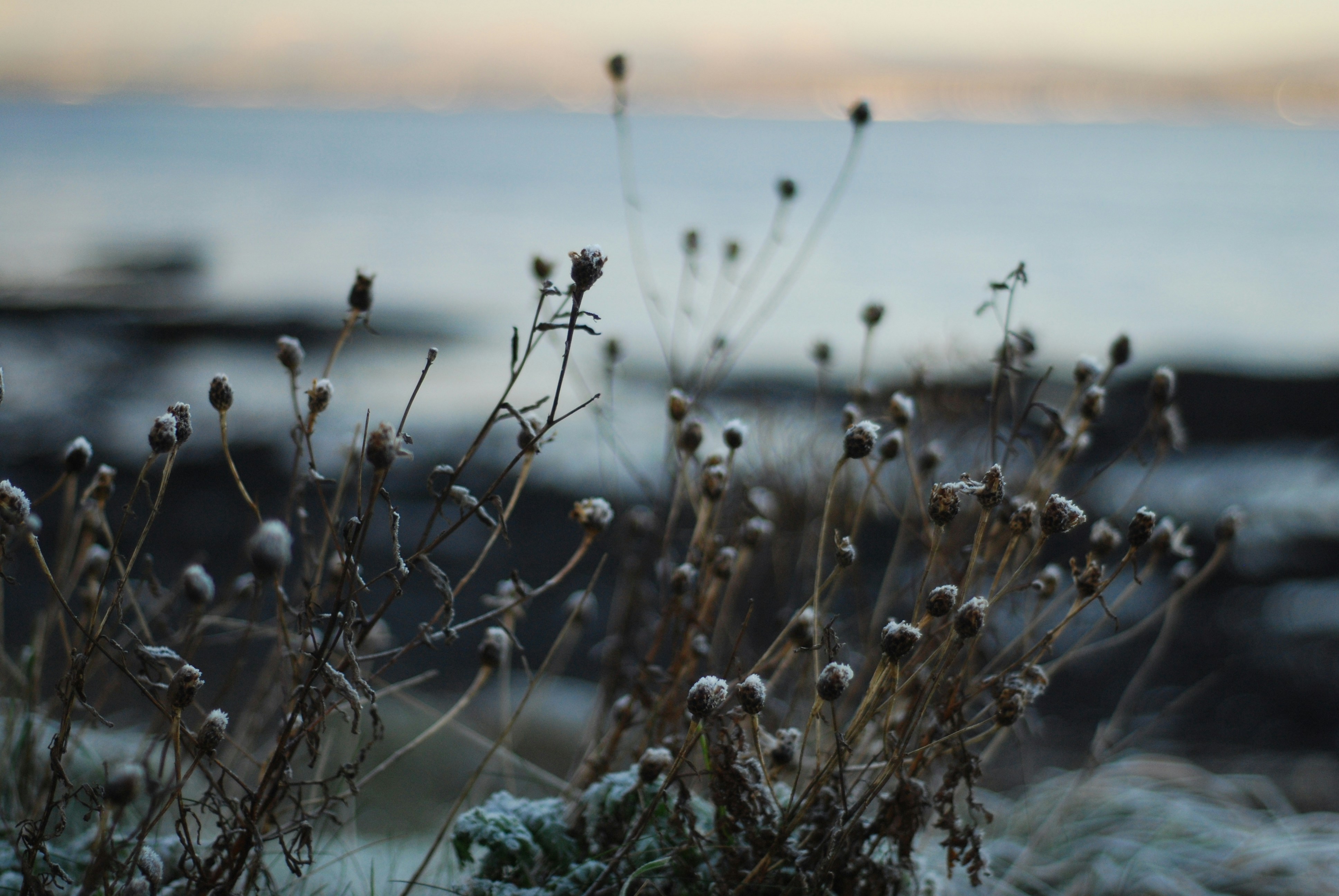 Photo by sarahcreates