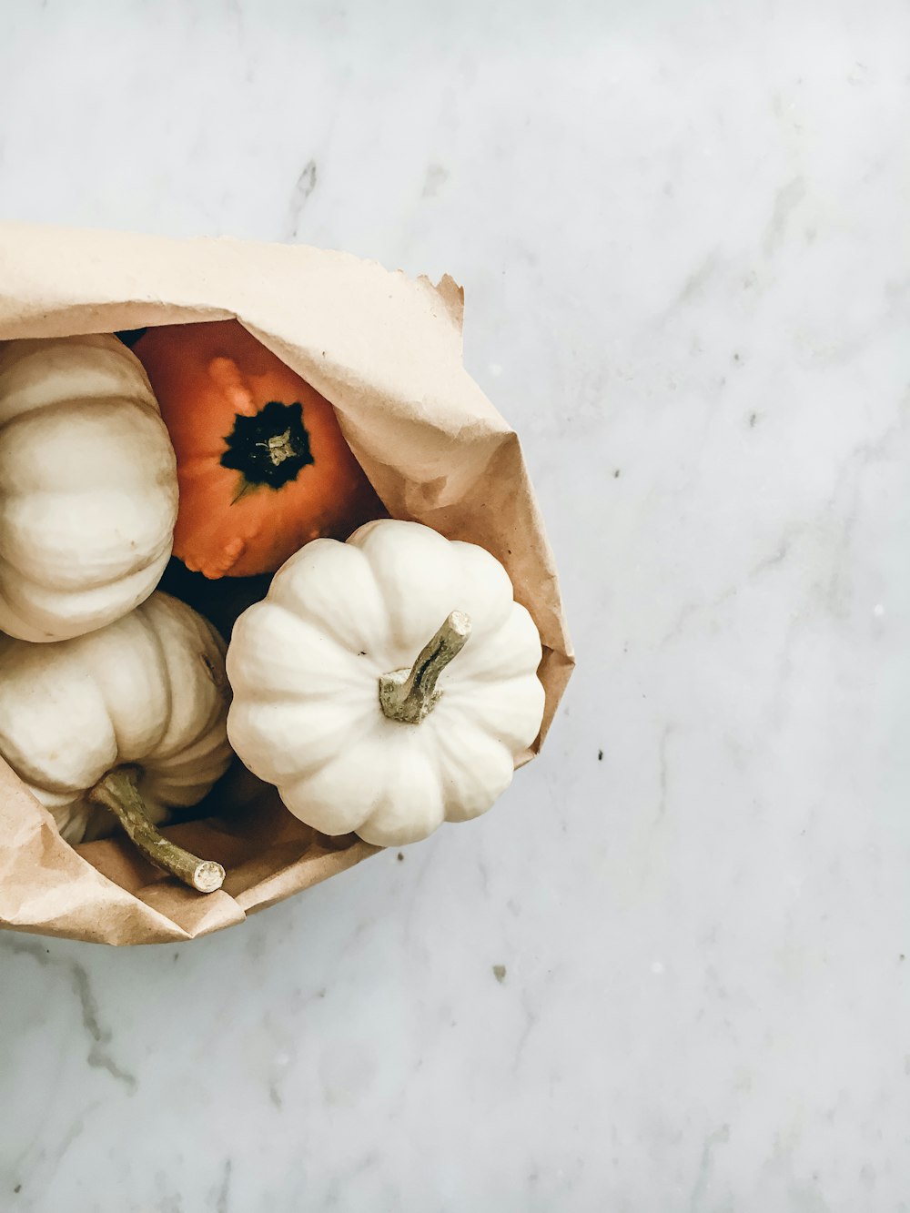 white squash