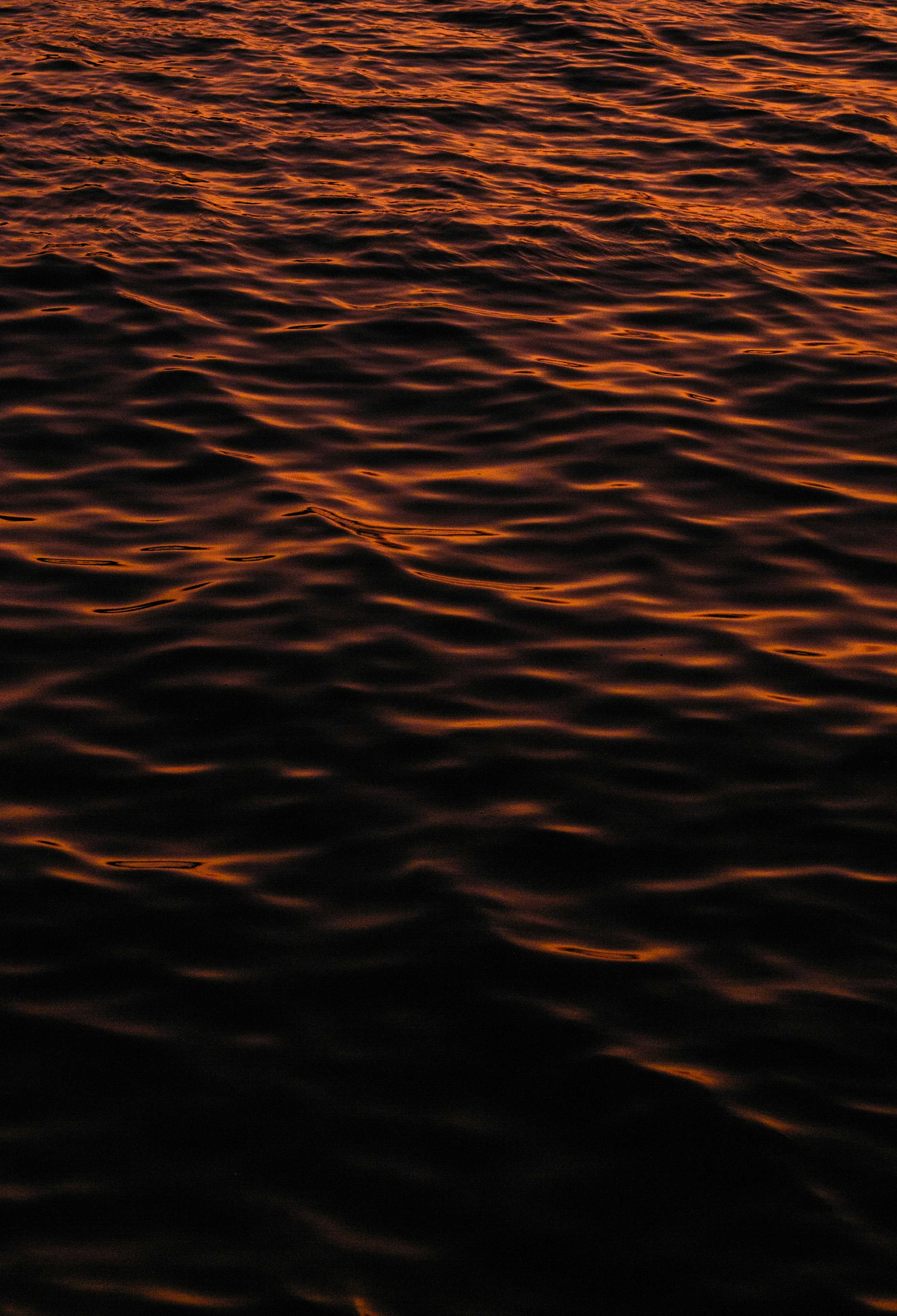 Photo by vinomamba24