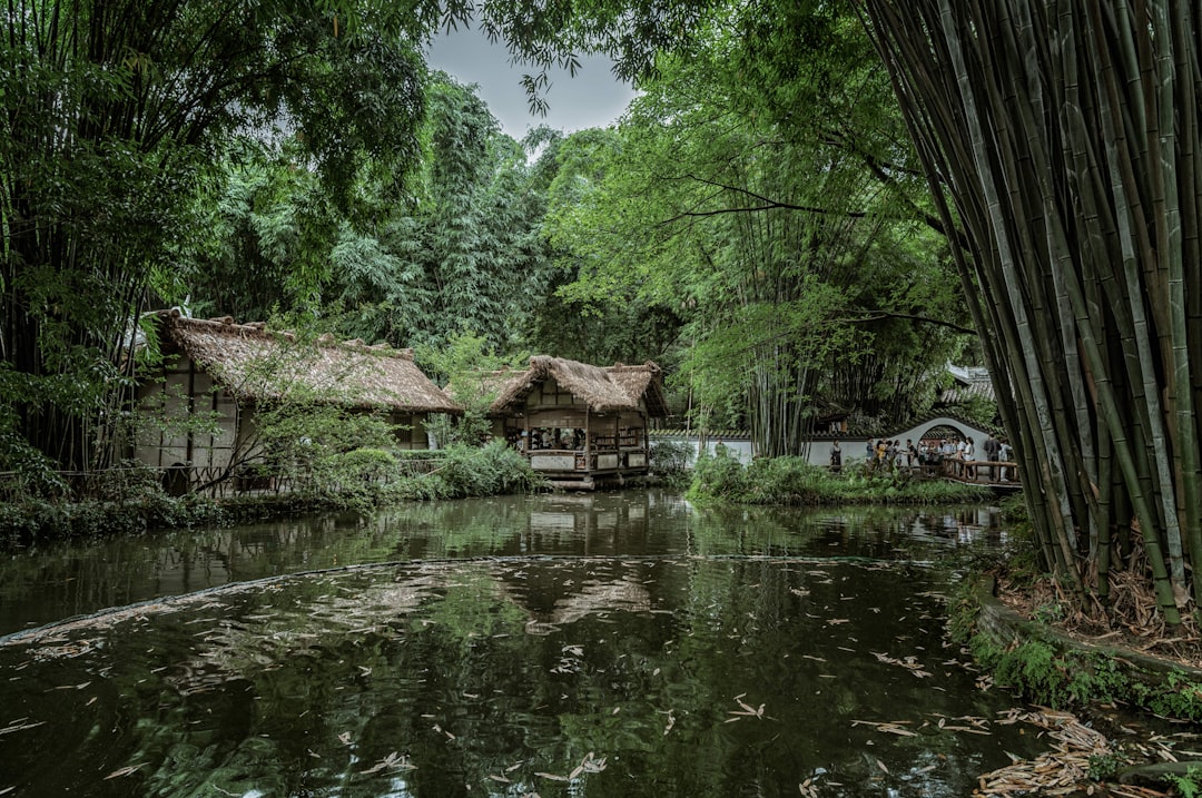 houses near river