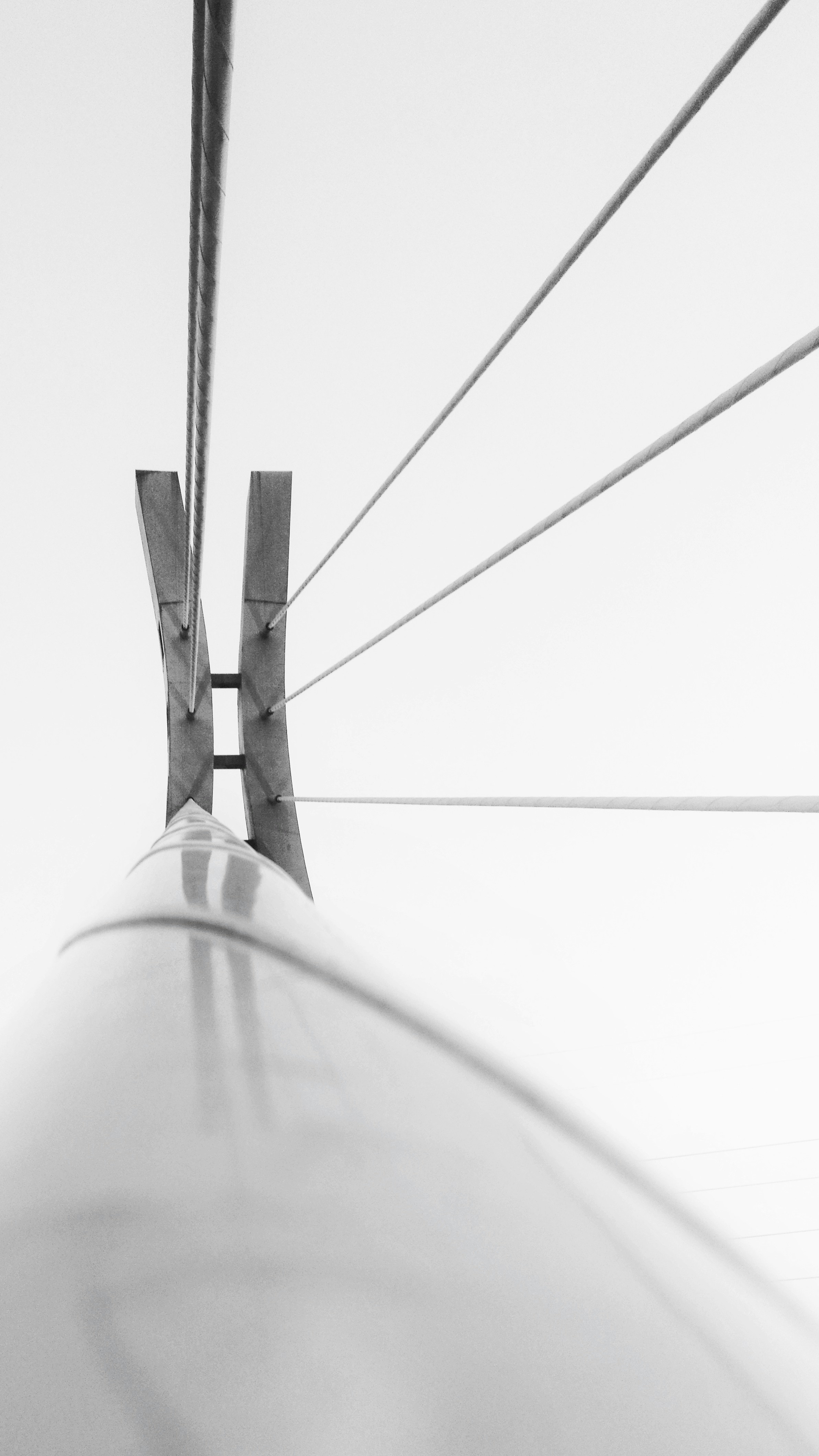 Photo by mehrsasaberi