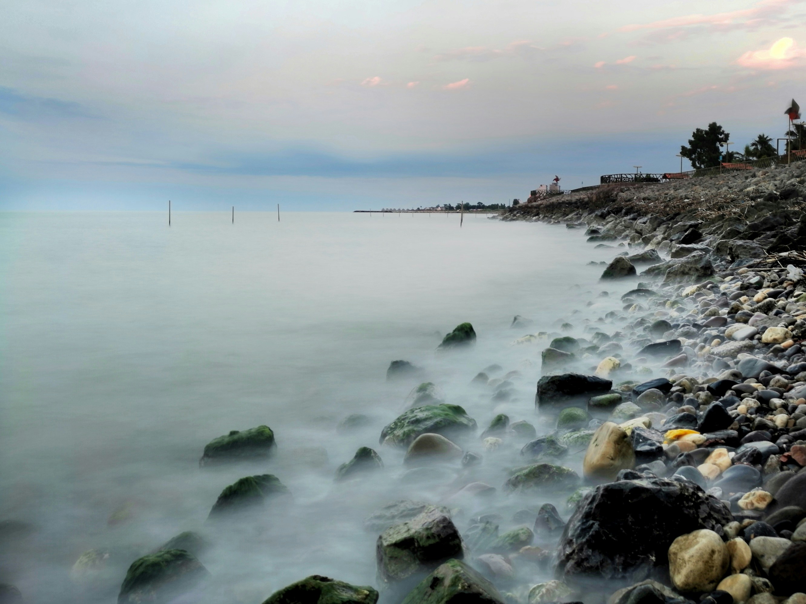 Photo by mehrsasaberi