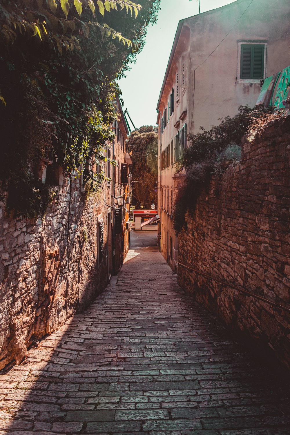 pathway near houses