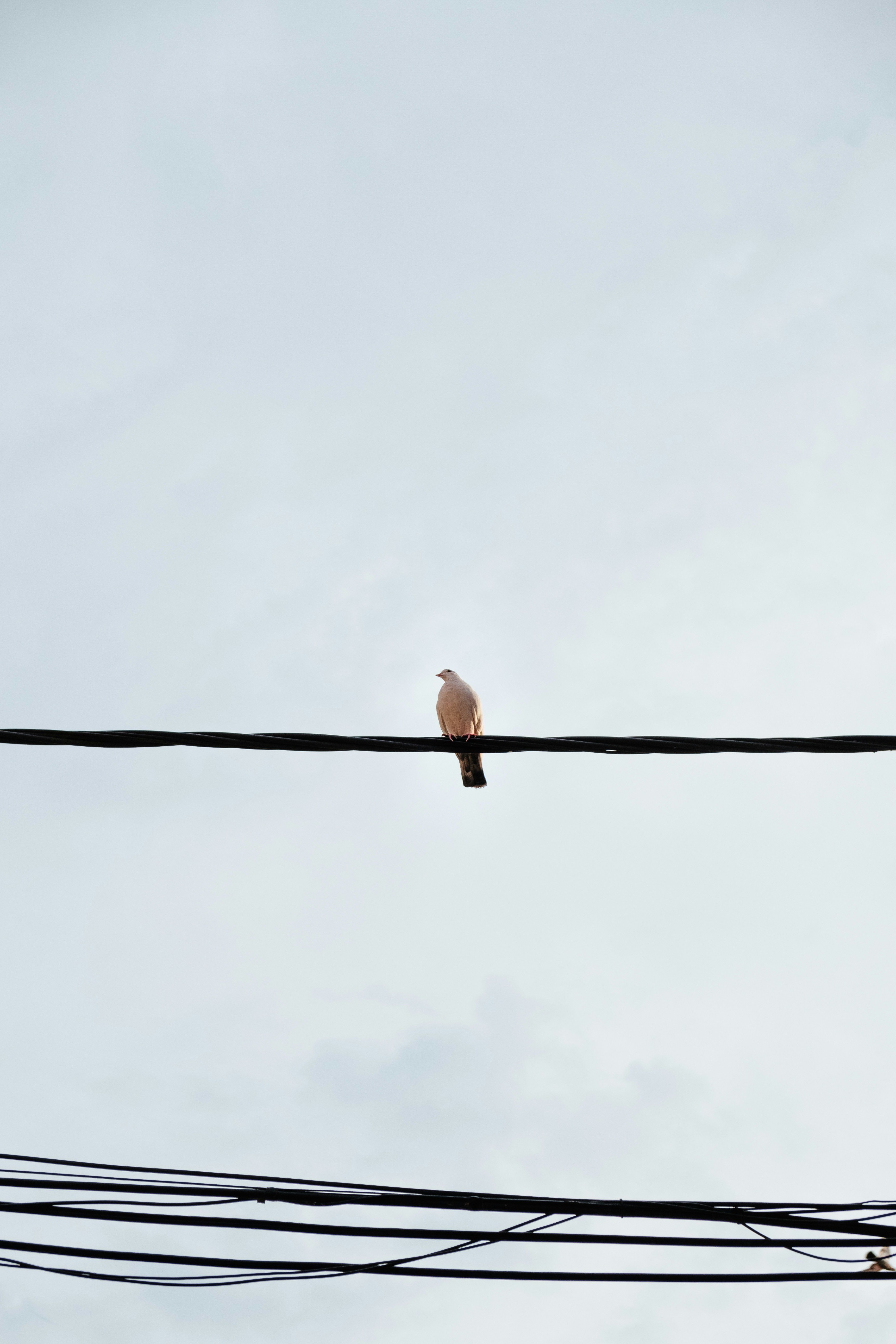 Photo by olgaserjantu