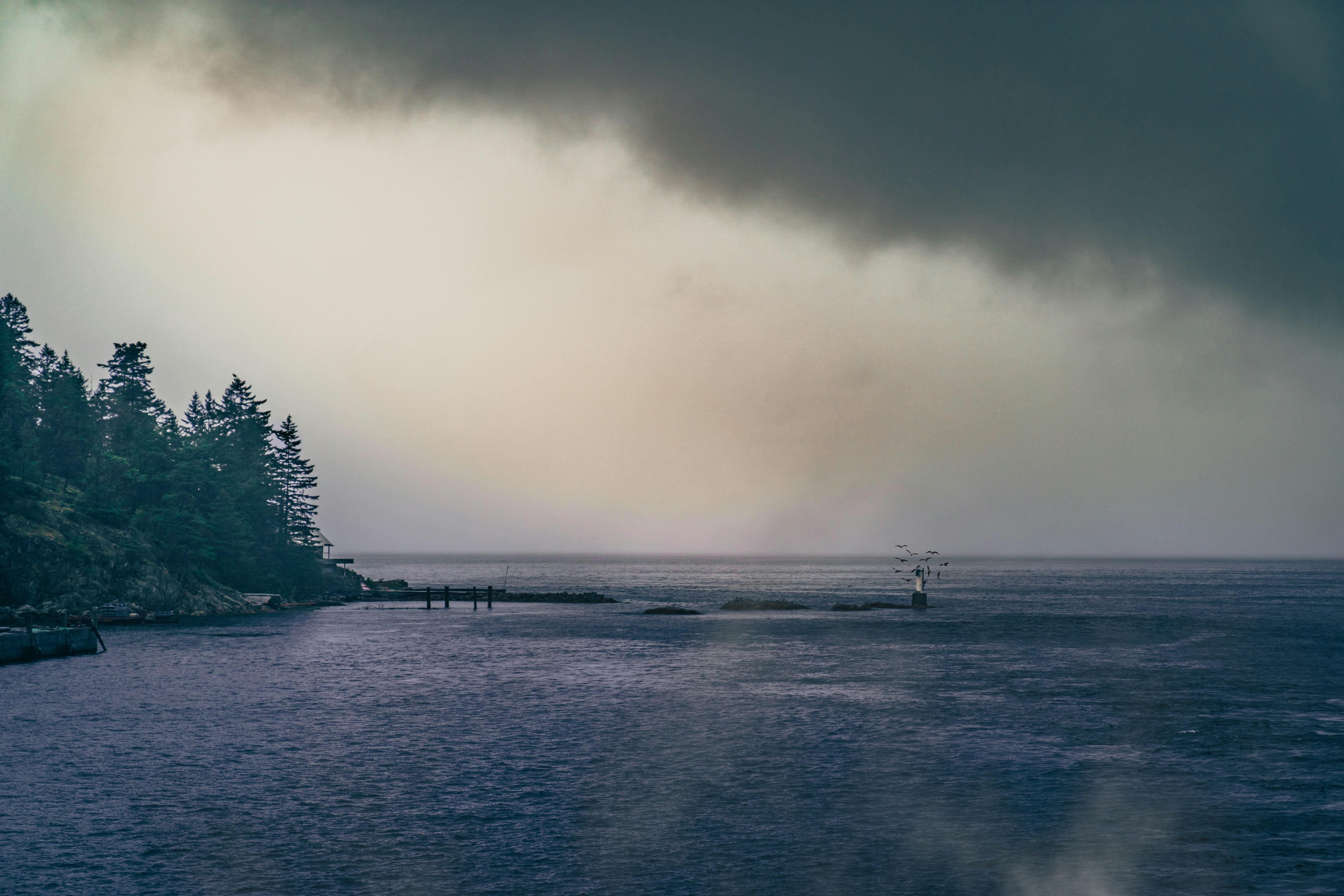 Photo by tomaswilliamsa