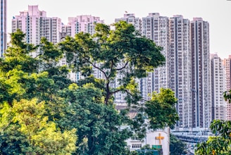 High-rise residential buildings stand tall in the background, partially obscured by lush green trees in the foreground. The trees are vibrantly green, suggesting they are in full bloom. The buildings have a modern architectural style with numerous windows, likely apartments. A church building with a visible yellow cross is also present in the foreground, adding contrast to the urban landscape.