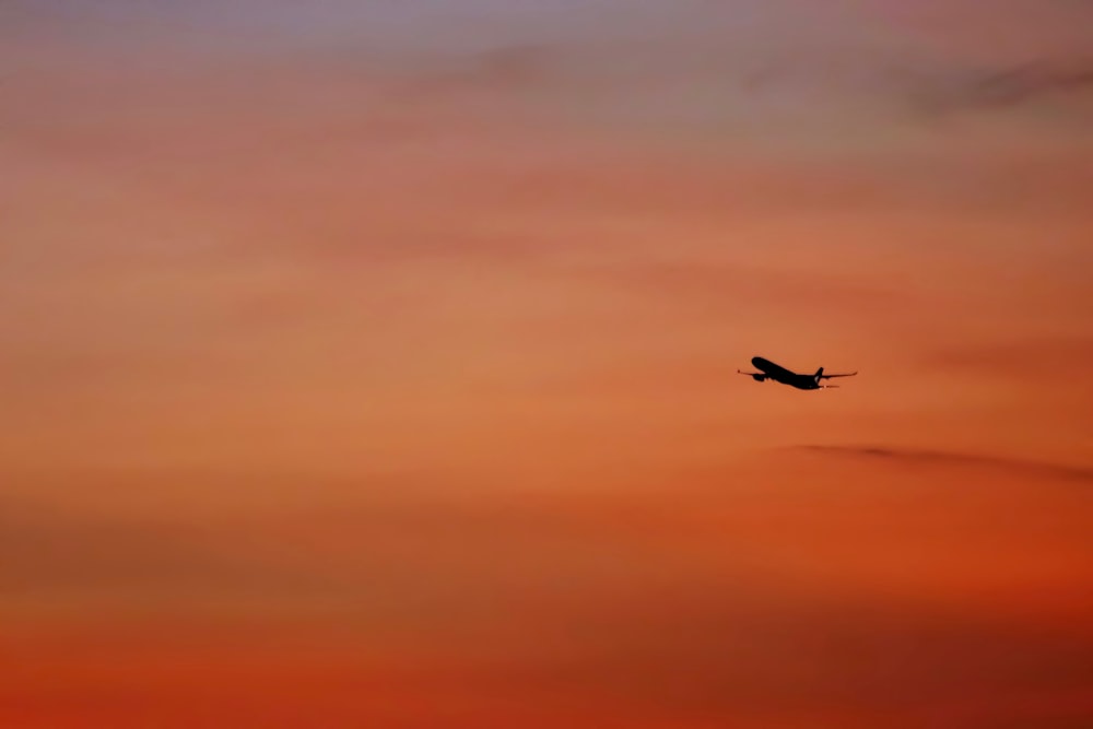 plane in mid air during golden hour