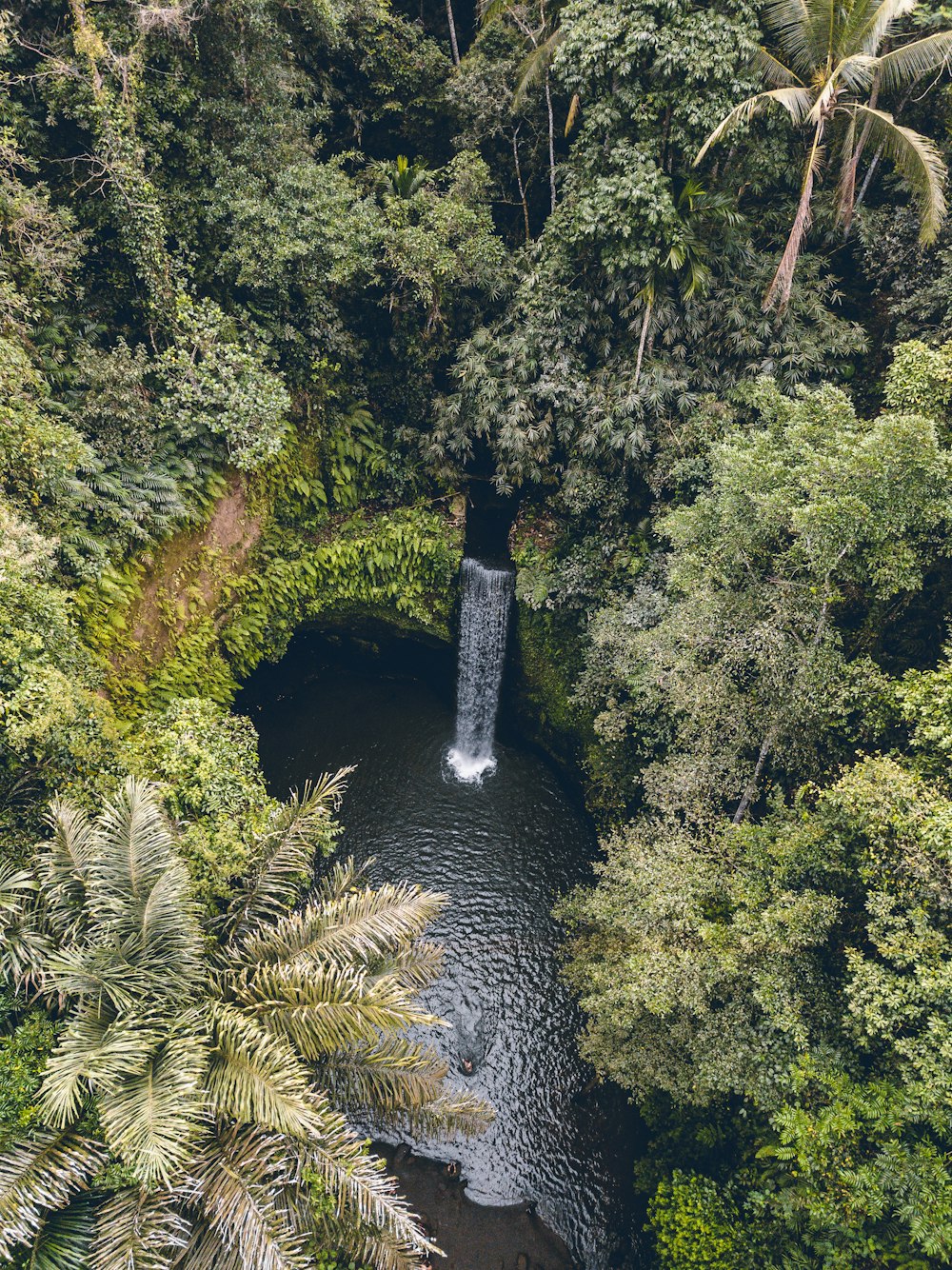 waterfalls in the middle of the forest during day