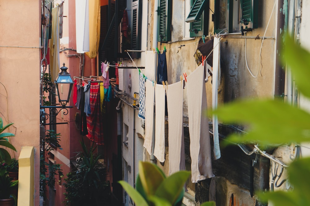 textiles near plants and houses