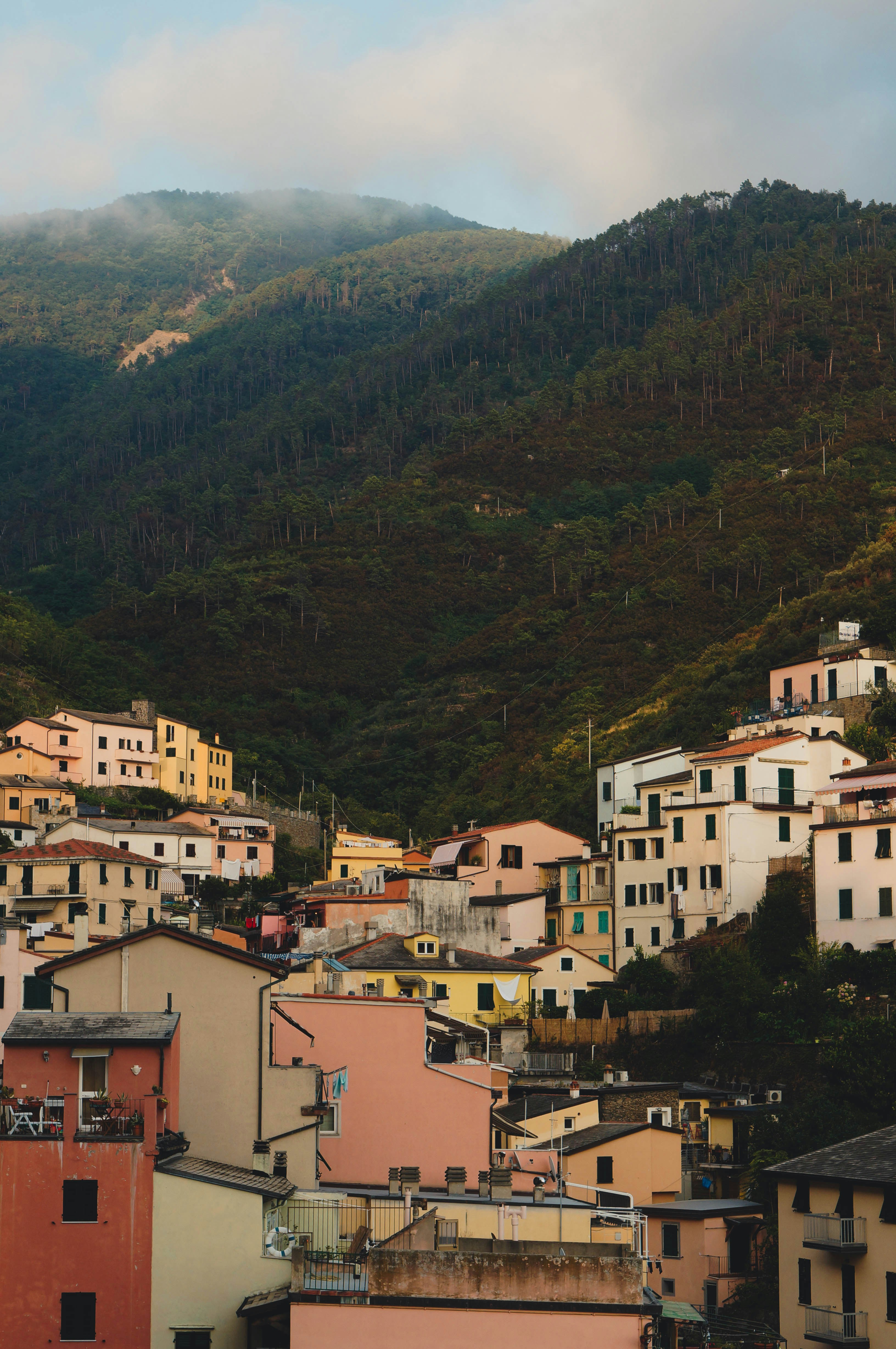 Photo by evgeeeenchik