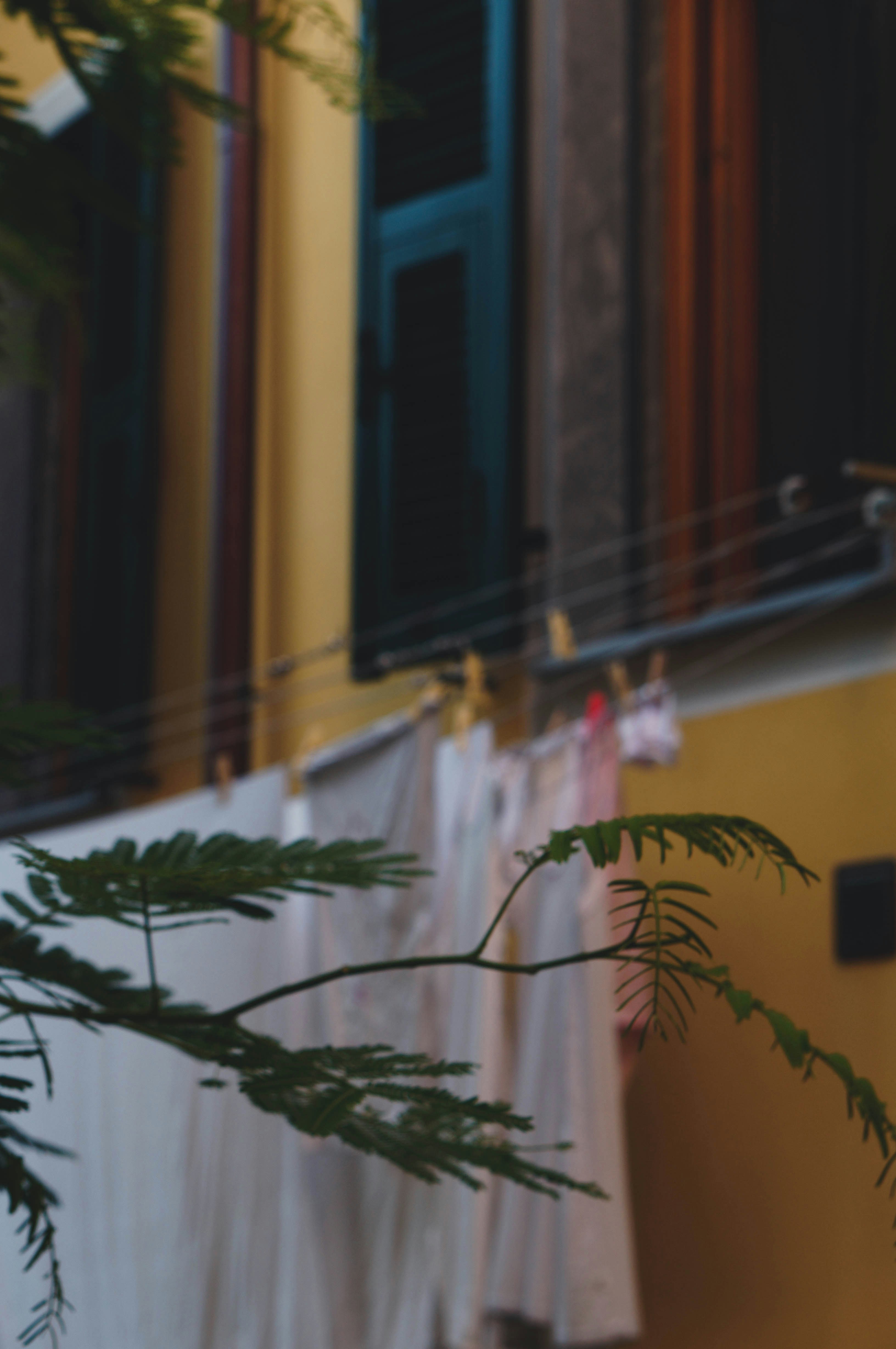 Photo by evgeeeenchik