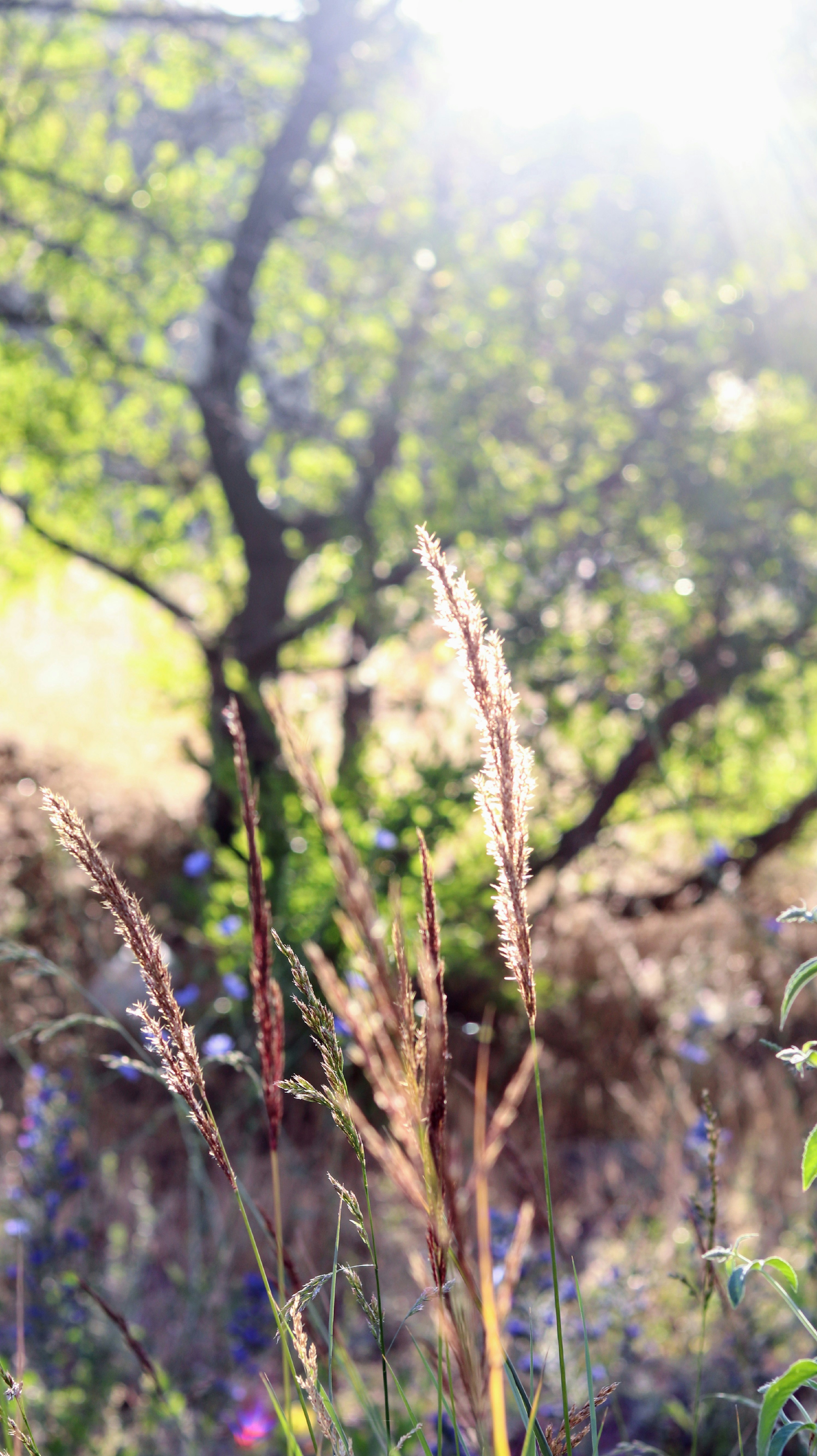 Photo by delasoul_ng