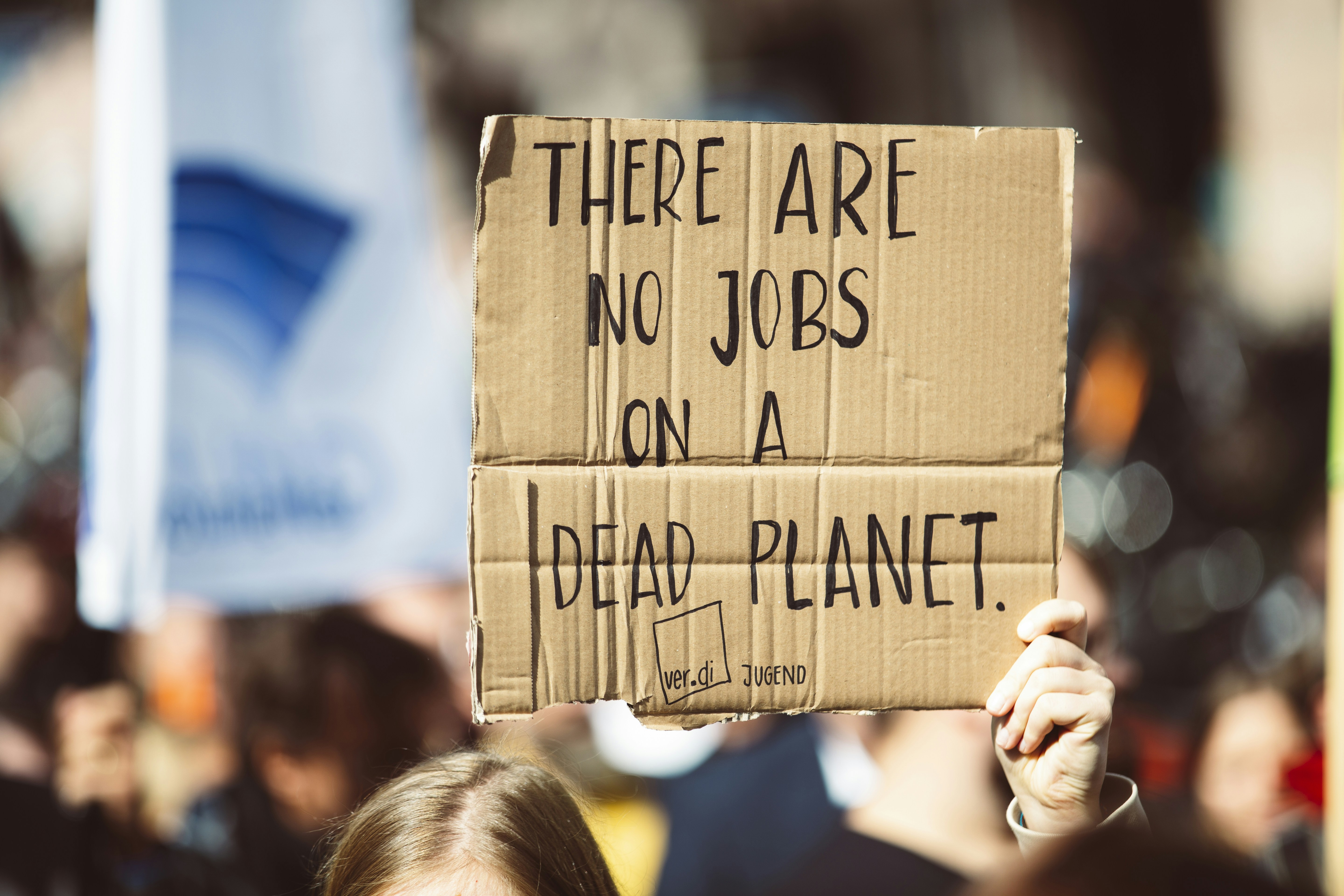 THERE ARE NO JOBS ON A DEAD PLANET. Global climate change strike - No Planet B - Global Climate Strike 09-20-2019