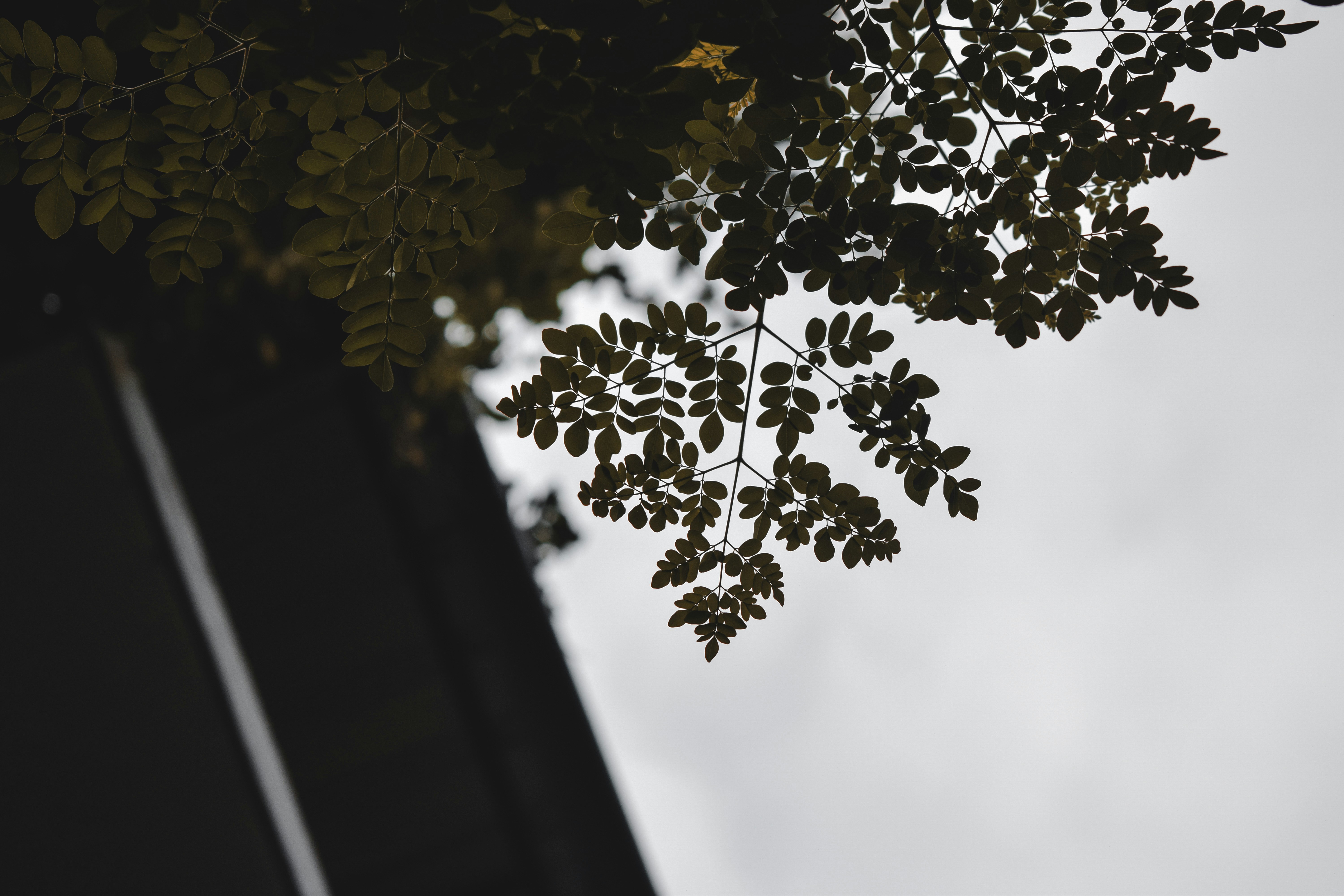 Photo by iamaswinraj