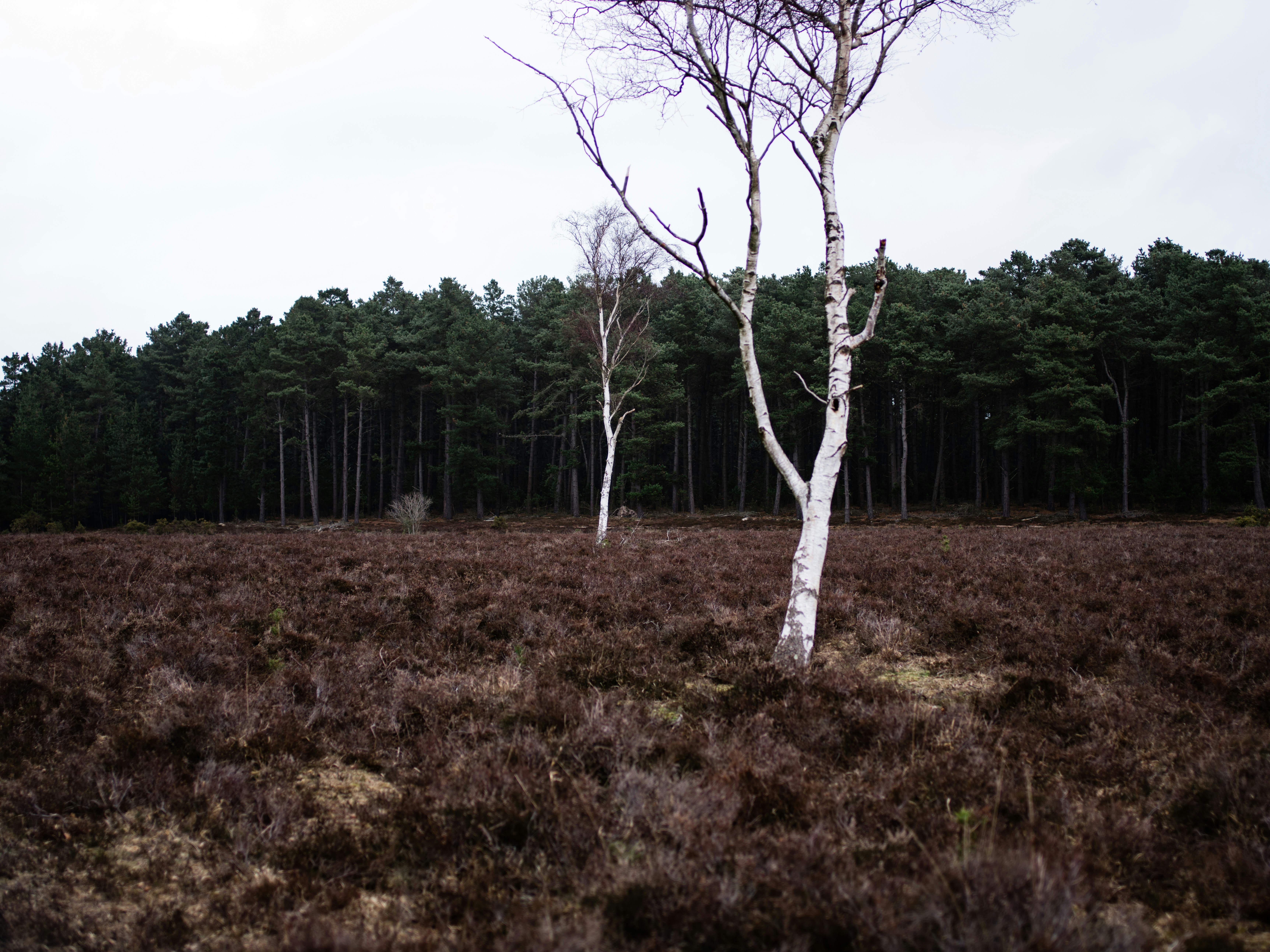 Photo by anniespratt