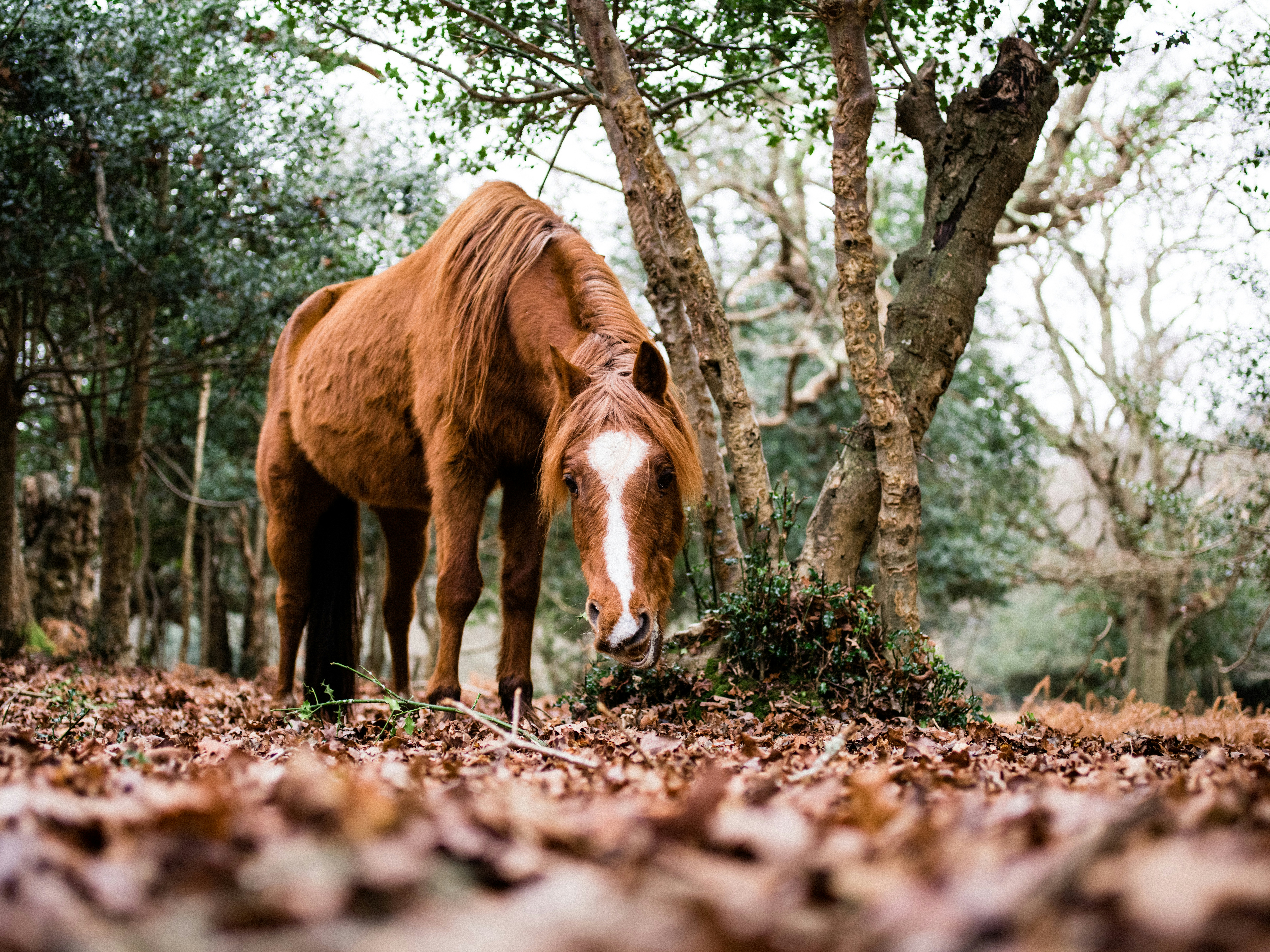 Photo by anniespratt