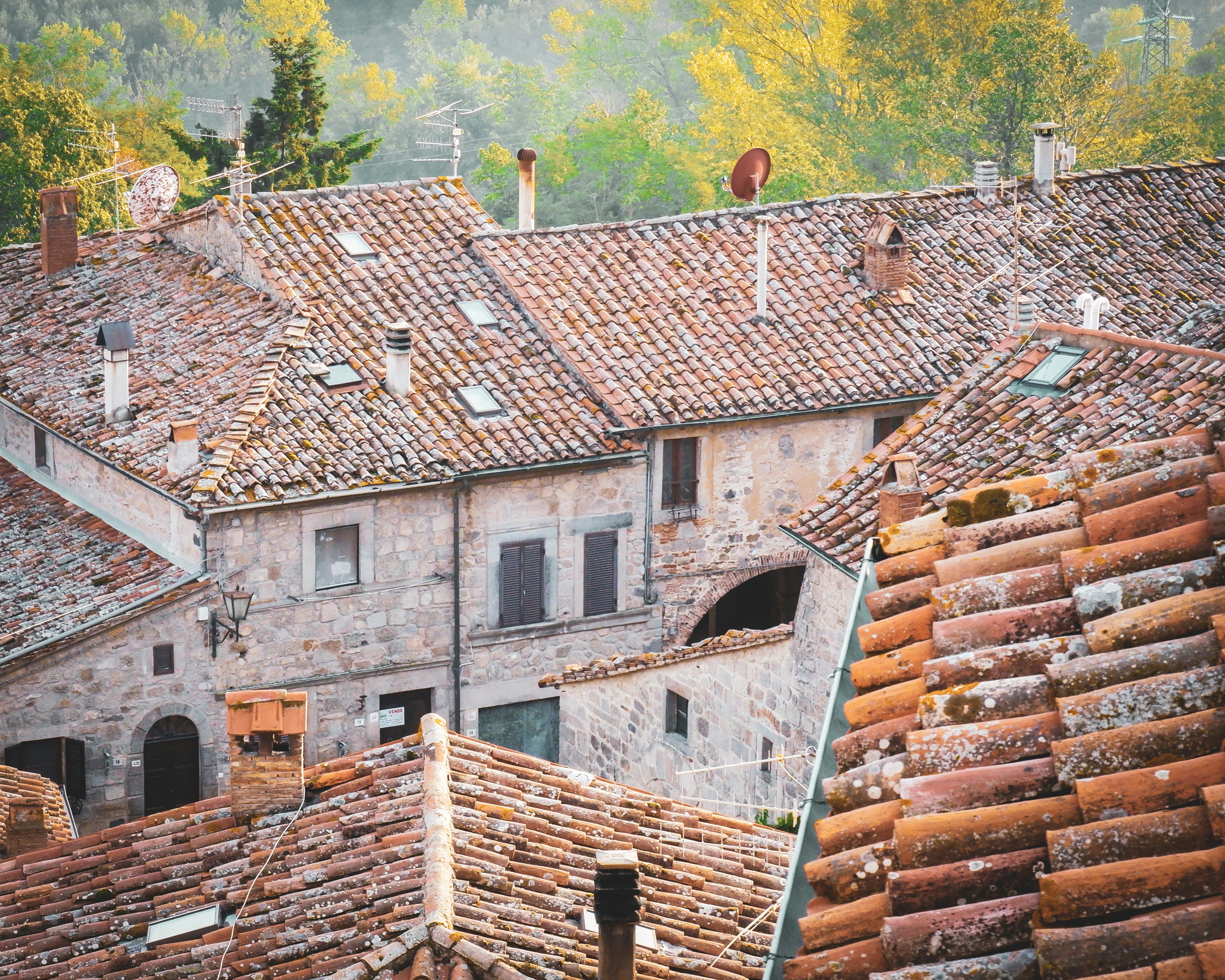 Aerial photography of brown roof shingles surrounded with tall and green trees