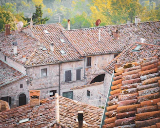 aerial photography of brown roof shingles surrounded with tall and green trees