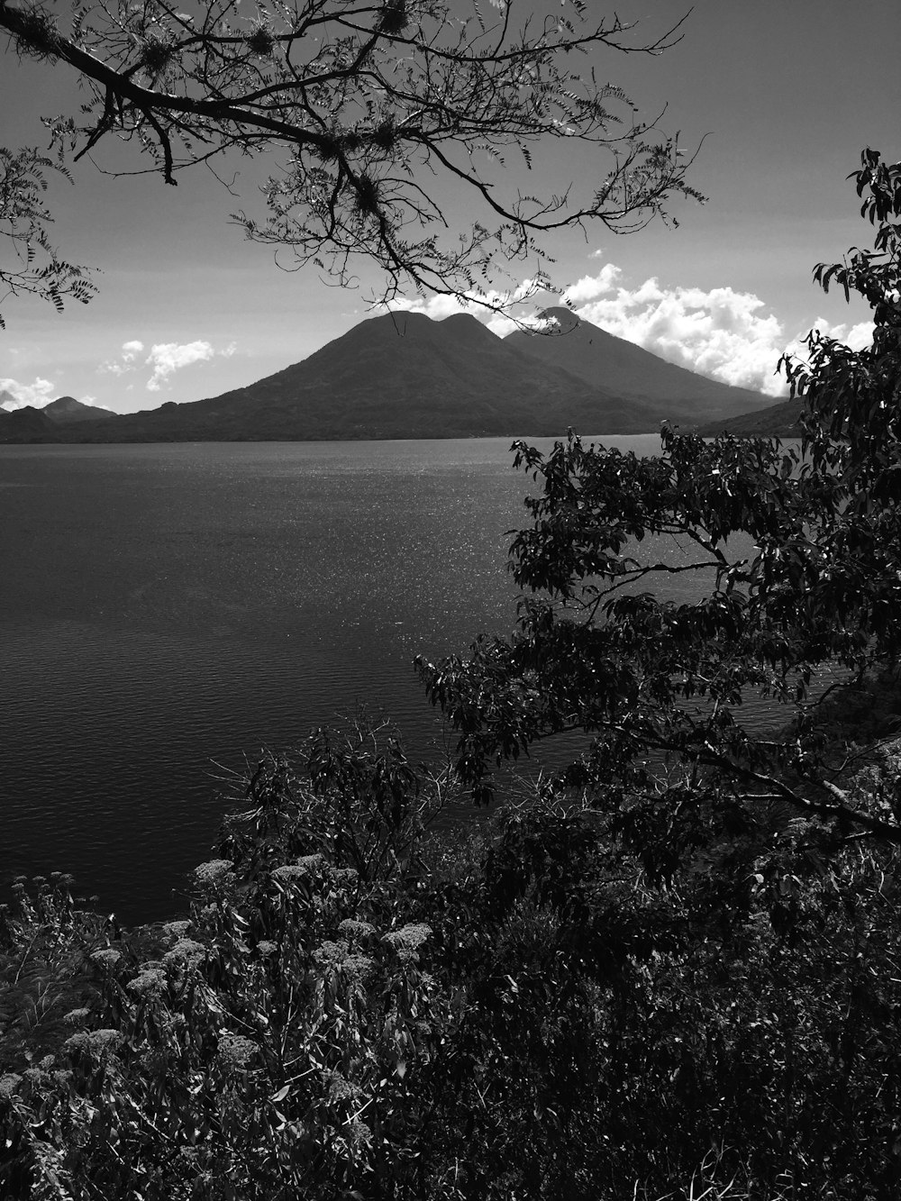 grayscale photography of body of water viewing mountain and trees