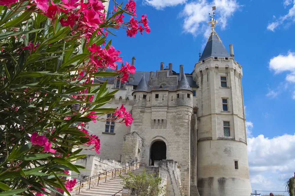 gray concrete castle under white clouds