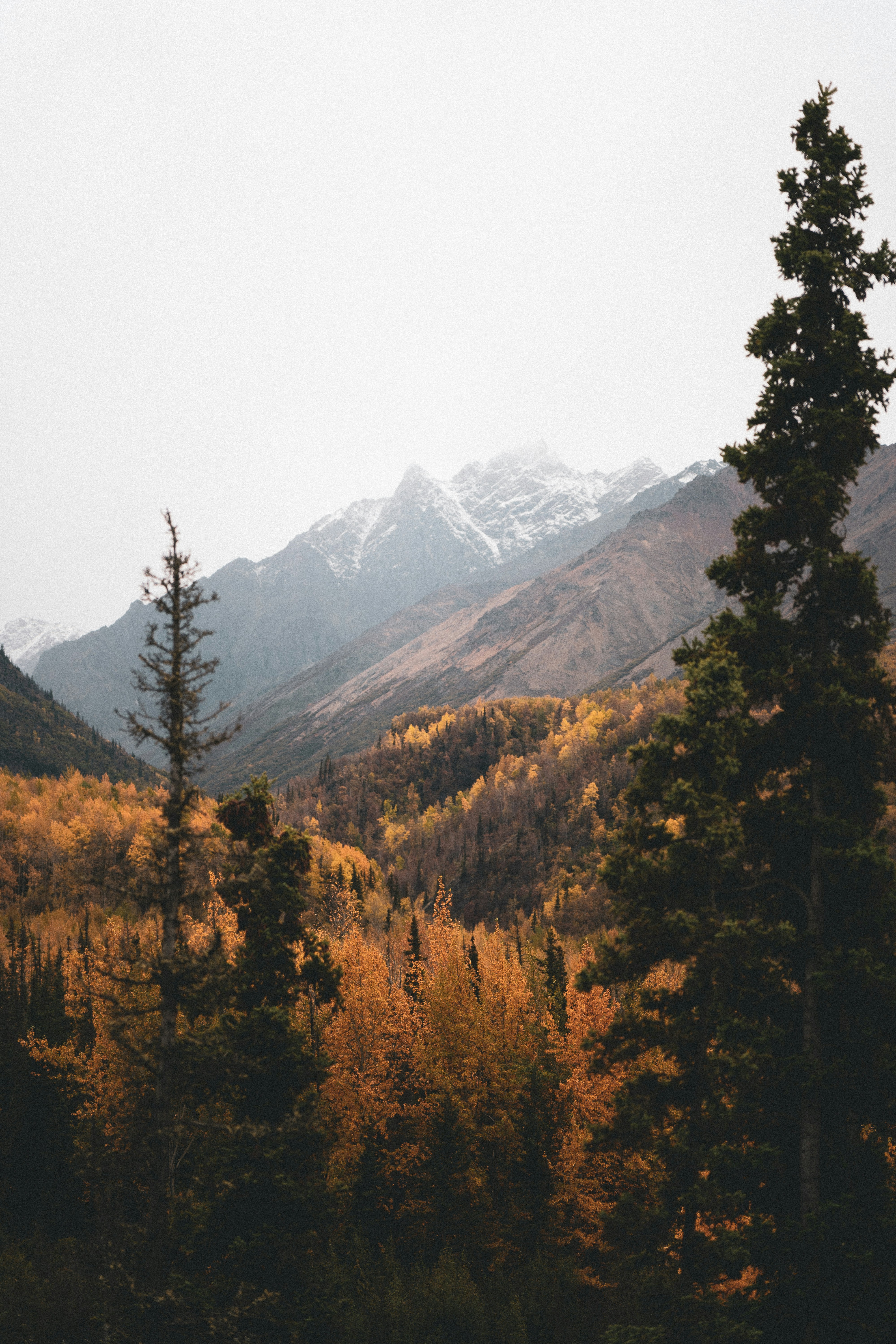 Photo by jaron_mobley