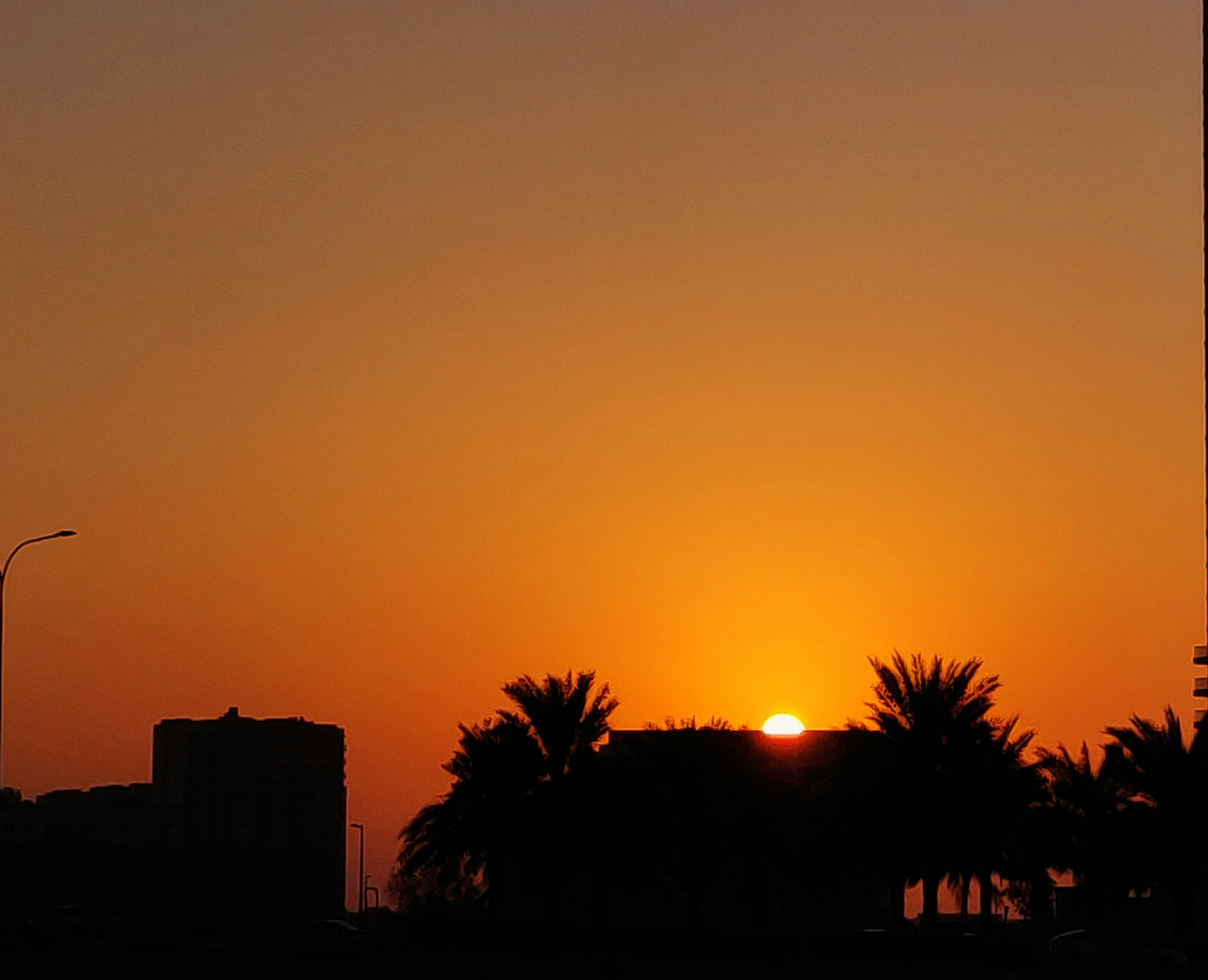 Photo by ashokreddykunduru