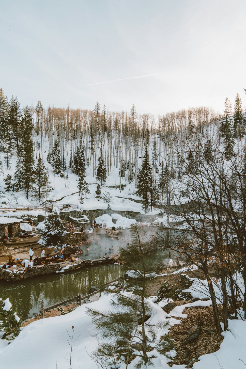 river surrounded by trees covered with snow