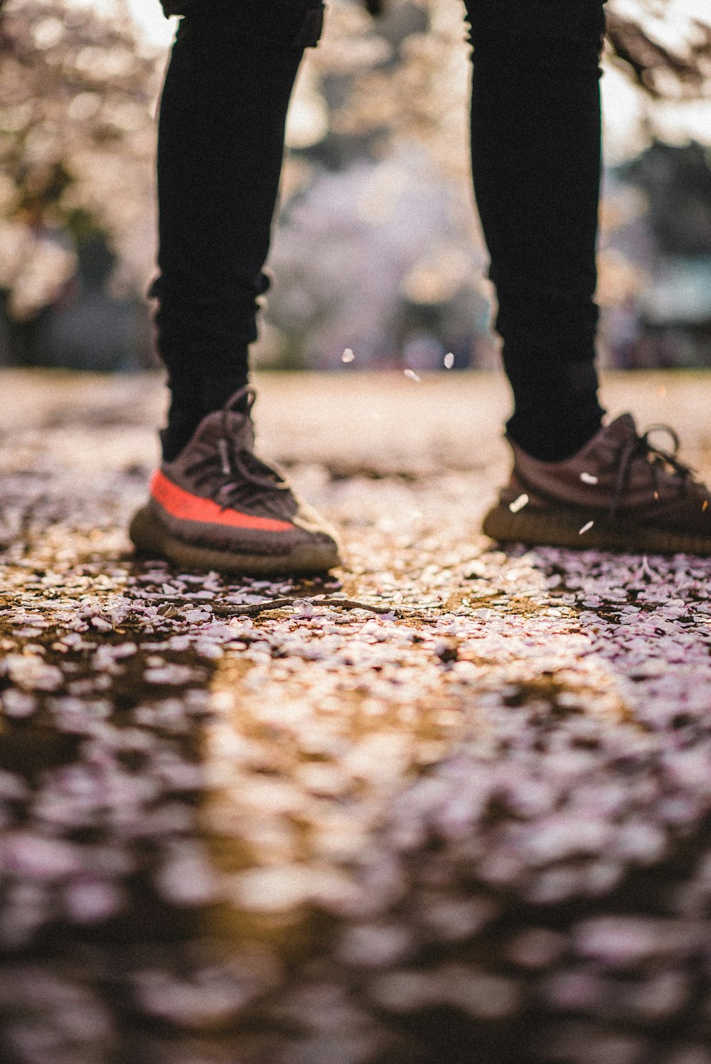 person wearing black-and-red adidas Yeezy Boost 350 v2 sneakers photo –  Free Feet Image on Unsplash