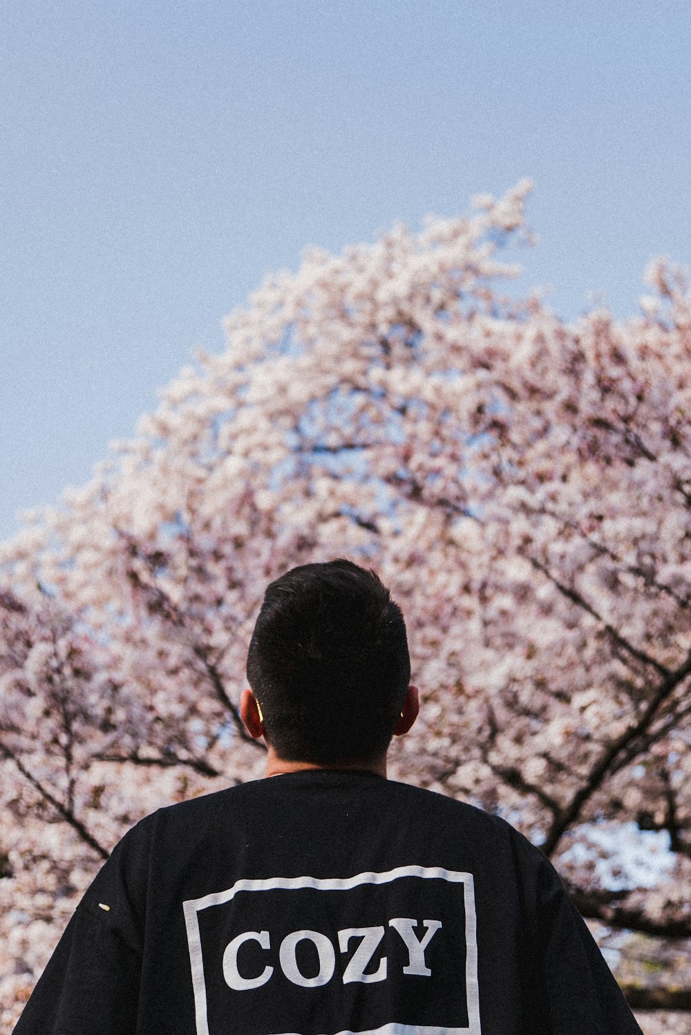 man looking up at the tree