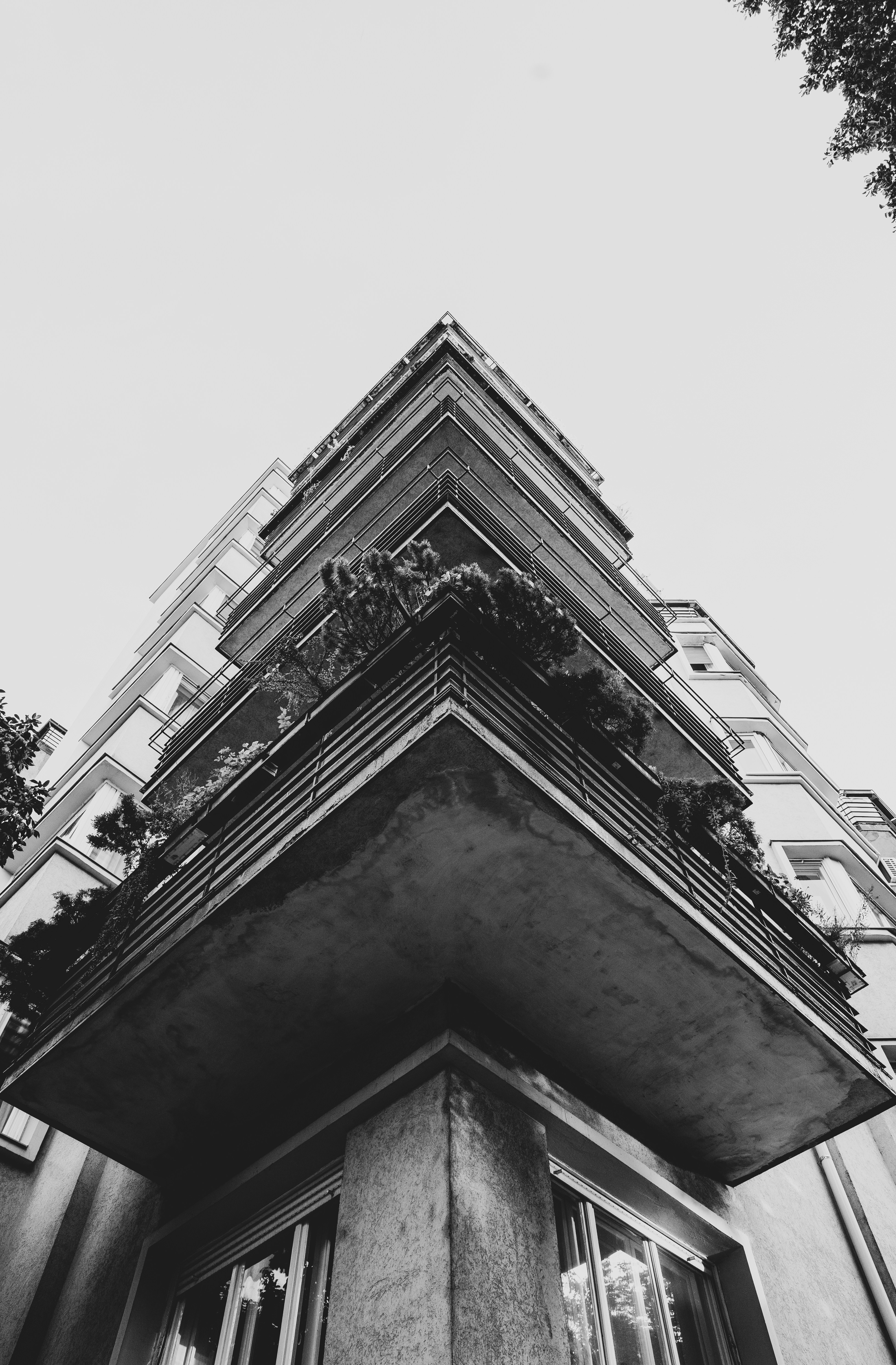 Photo by ballaschottner