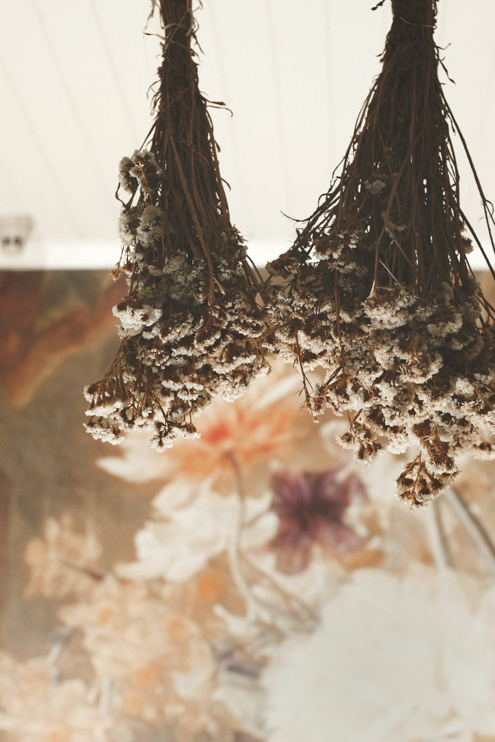 un bouquet de fleurs séchées suspendues au plafond