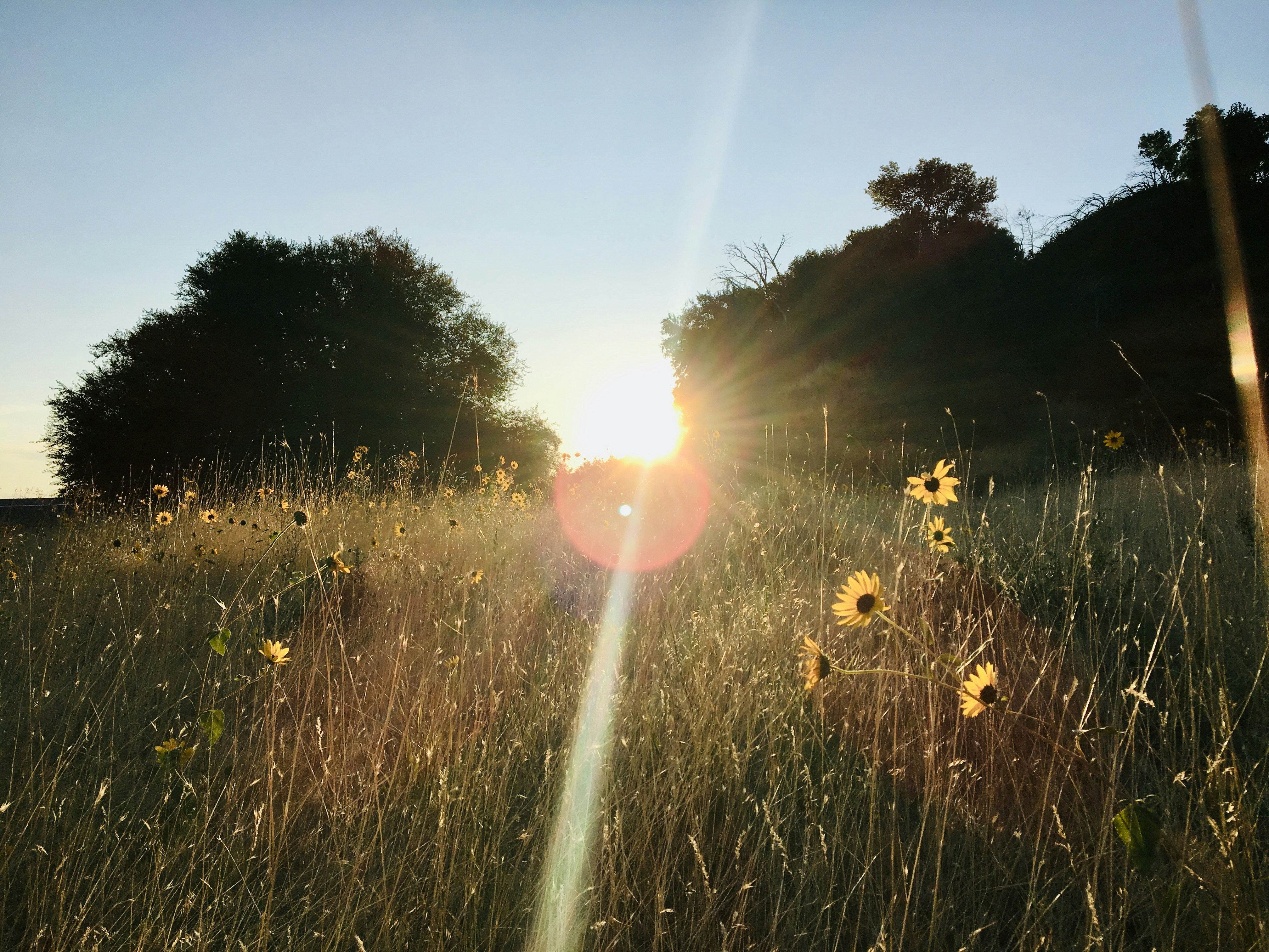 Photo by kaylalinford